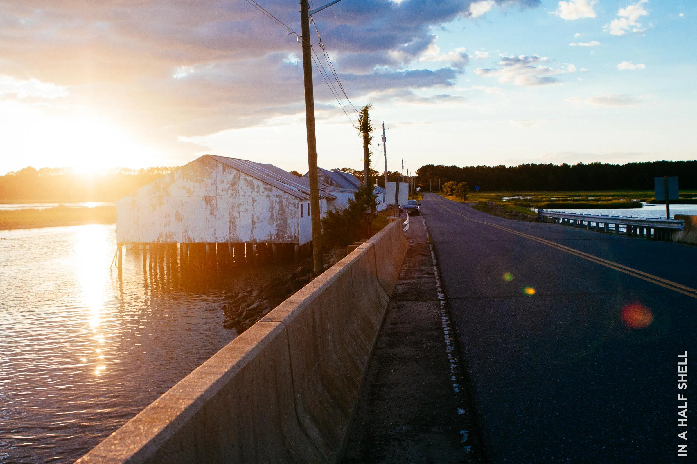 InAHalfShell-2014-EasternShoreVA-85.jpg