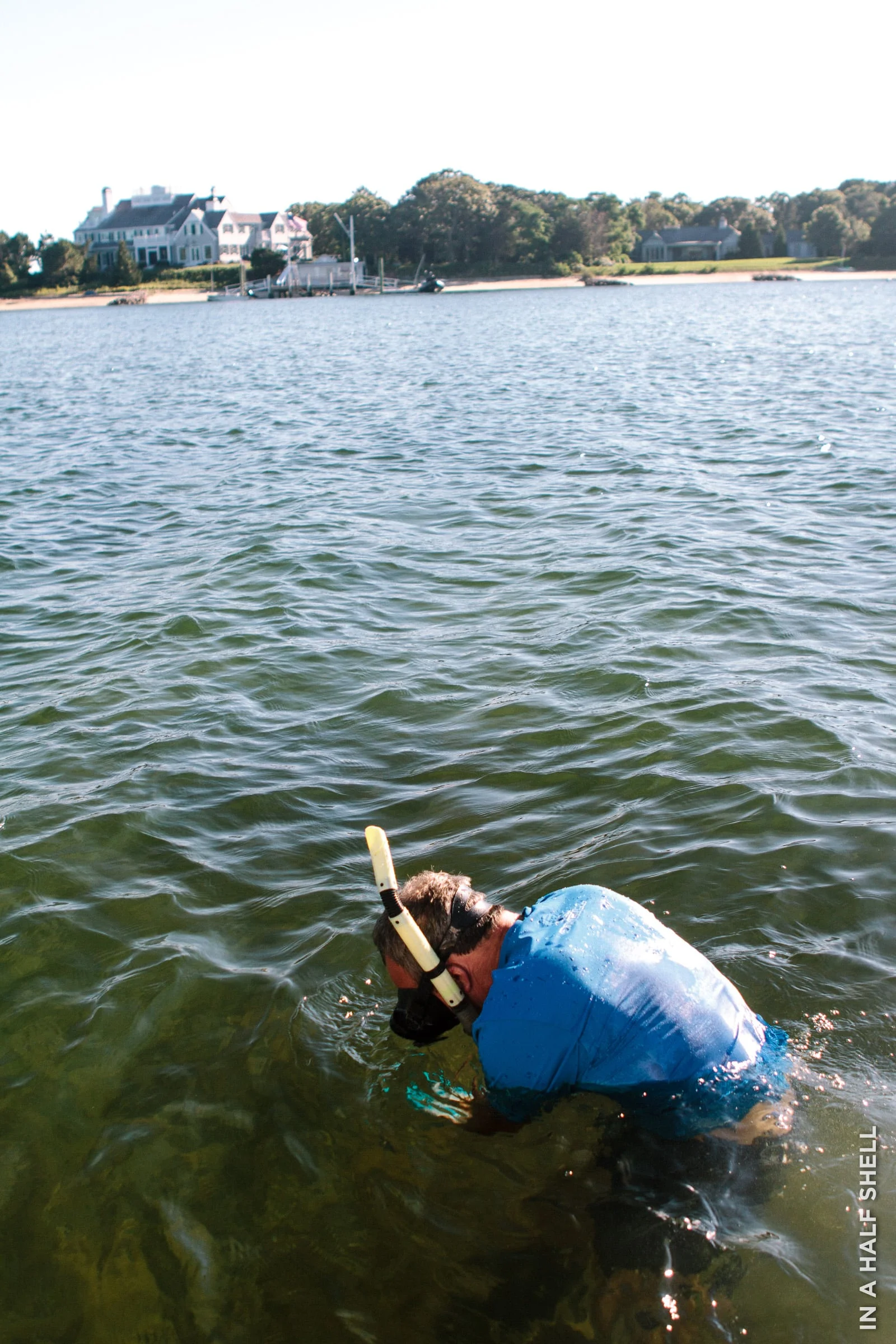 InAHalfShell-2014-CapeCodWianno-2.jpg