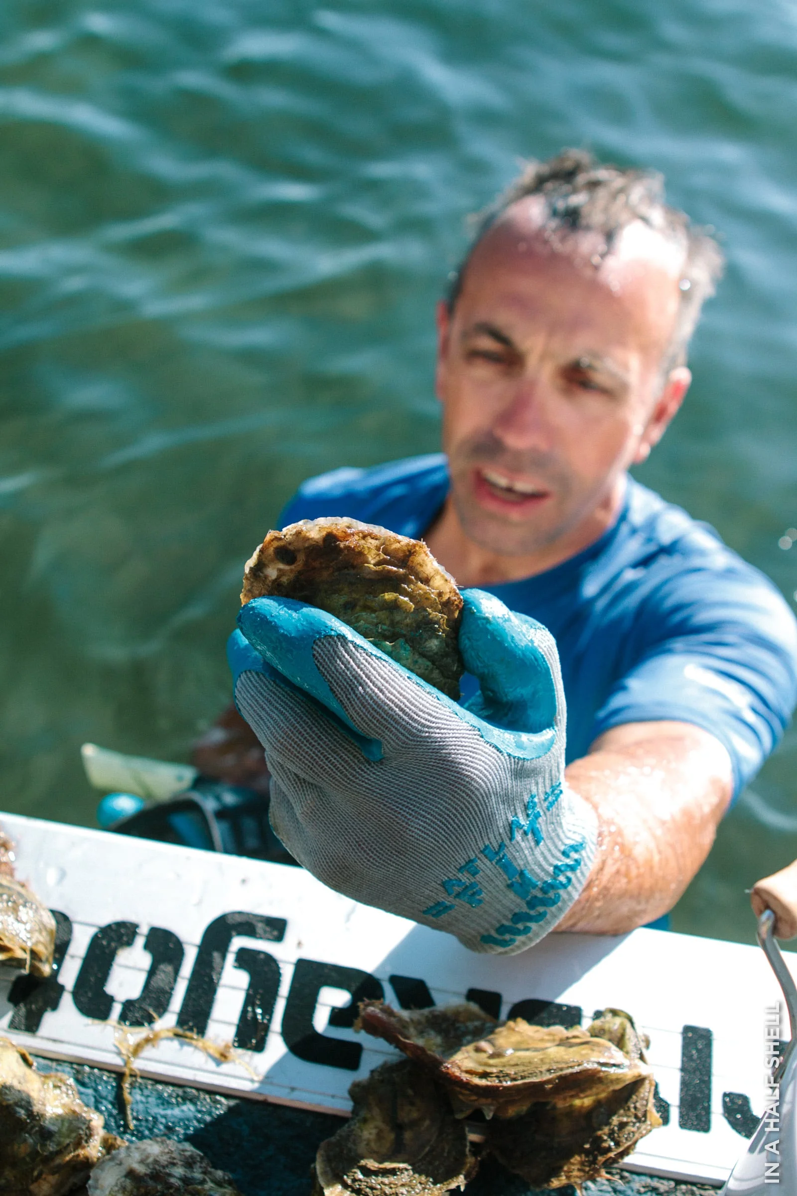 InAHalfShell-2014-CapeCodWianno-4.jpg