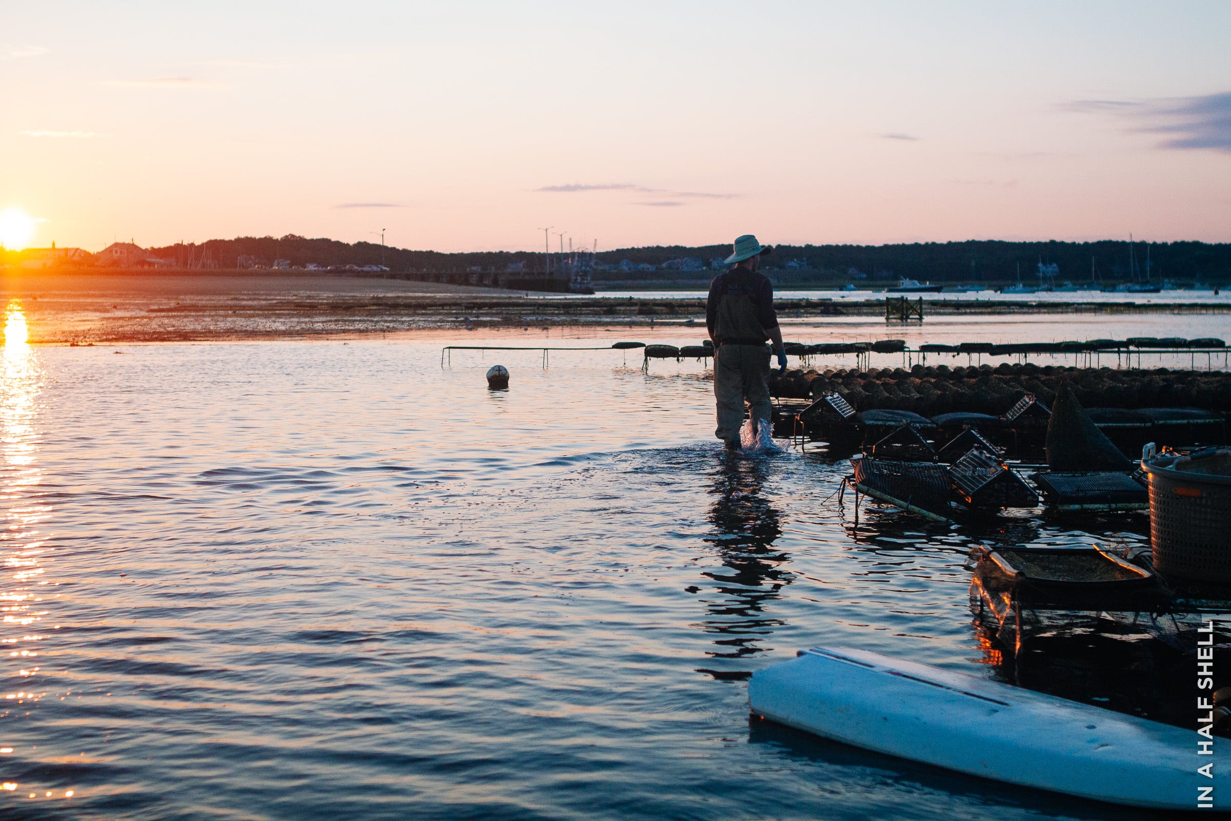 InAHalfShell-2015-Wellfleet-9.jpg