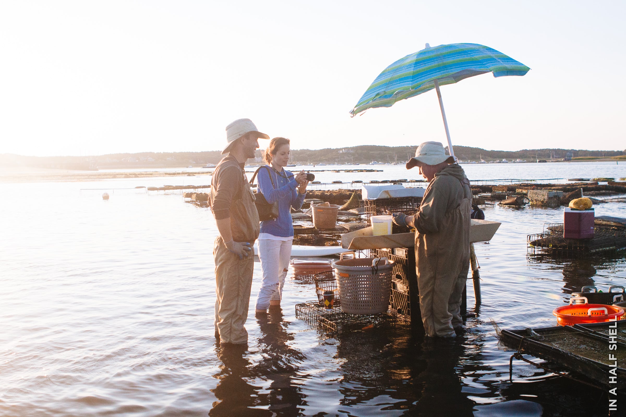 InAHalfShell-2015-Wellfleet-22.jpg