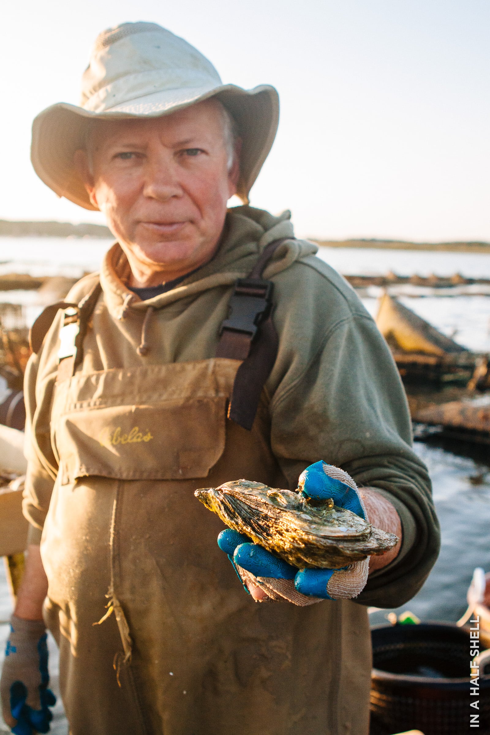 InAHalfShell-2015-Wellfleet-23.jpg