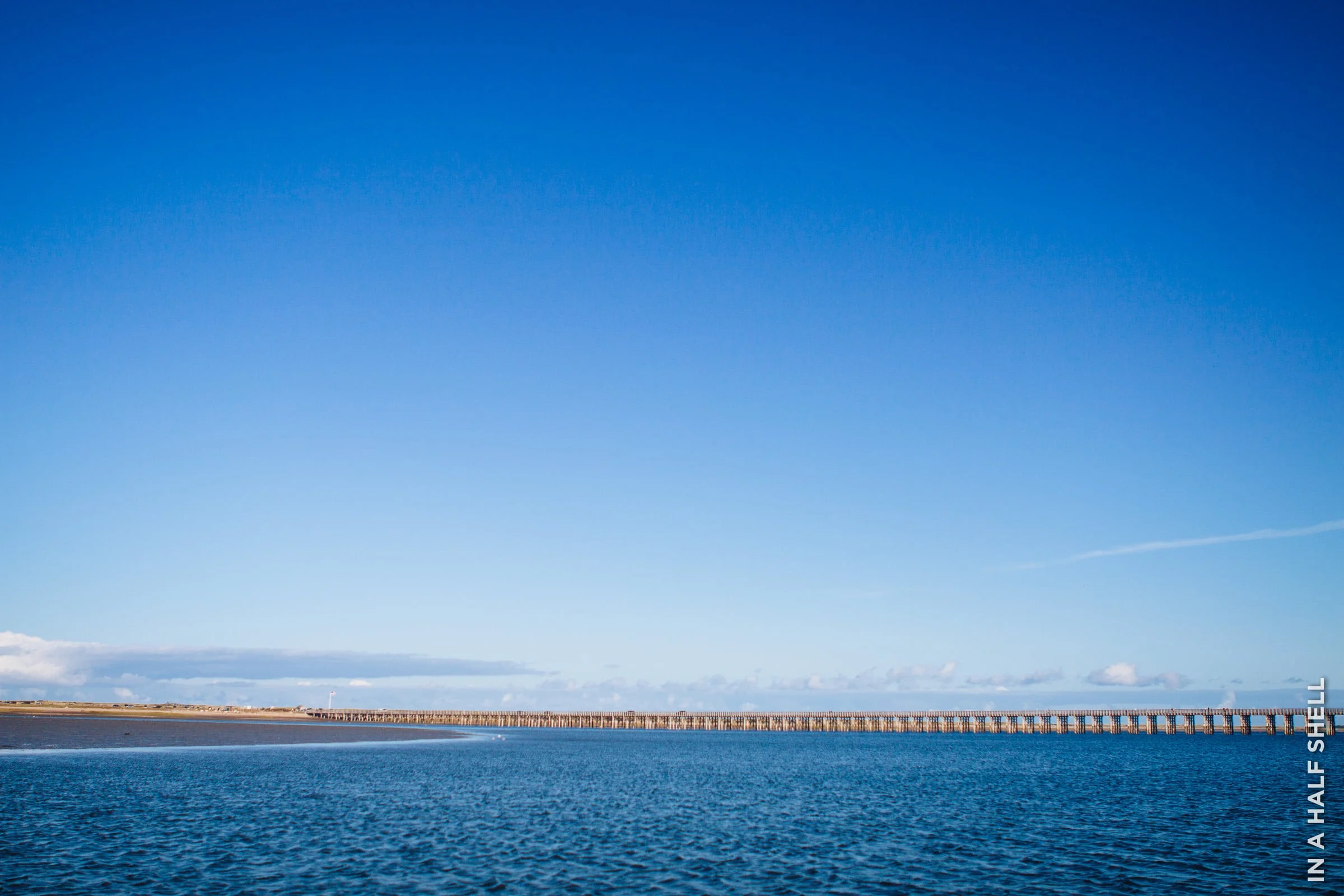 Cape Cod Oyster Tour A New Class of Duxbury Oysters — In A Half Shell