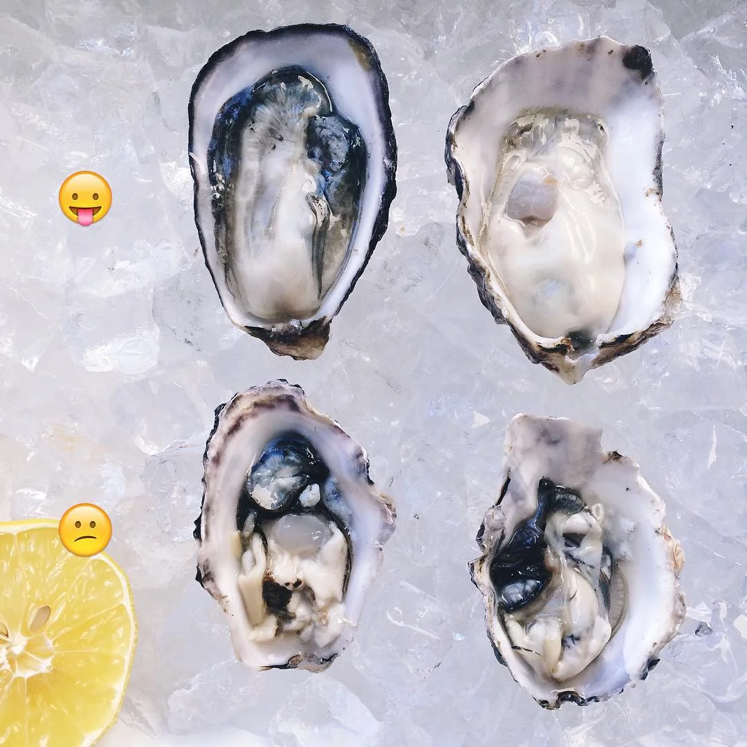 InAHalfShell-Oyster101-Lesson6.jpg