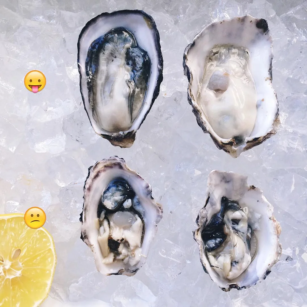 Oyster Standards — In A Half Shell