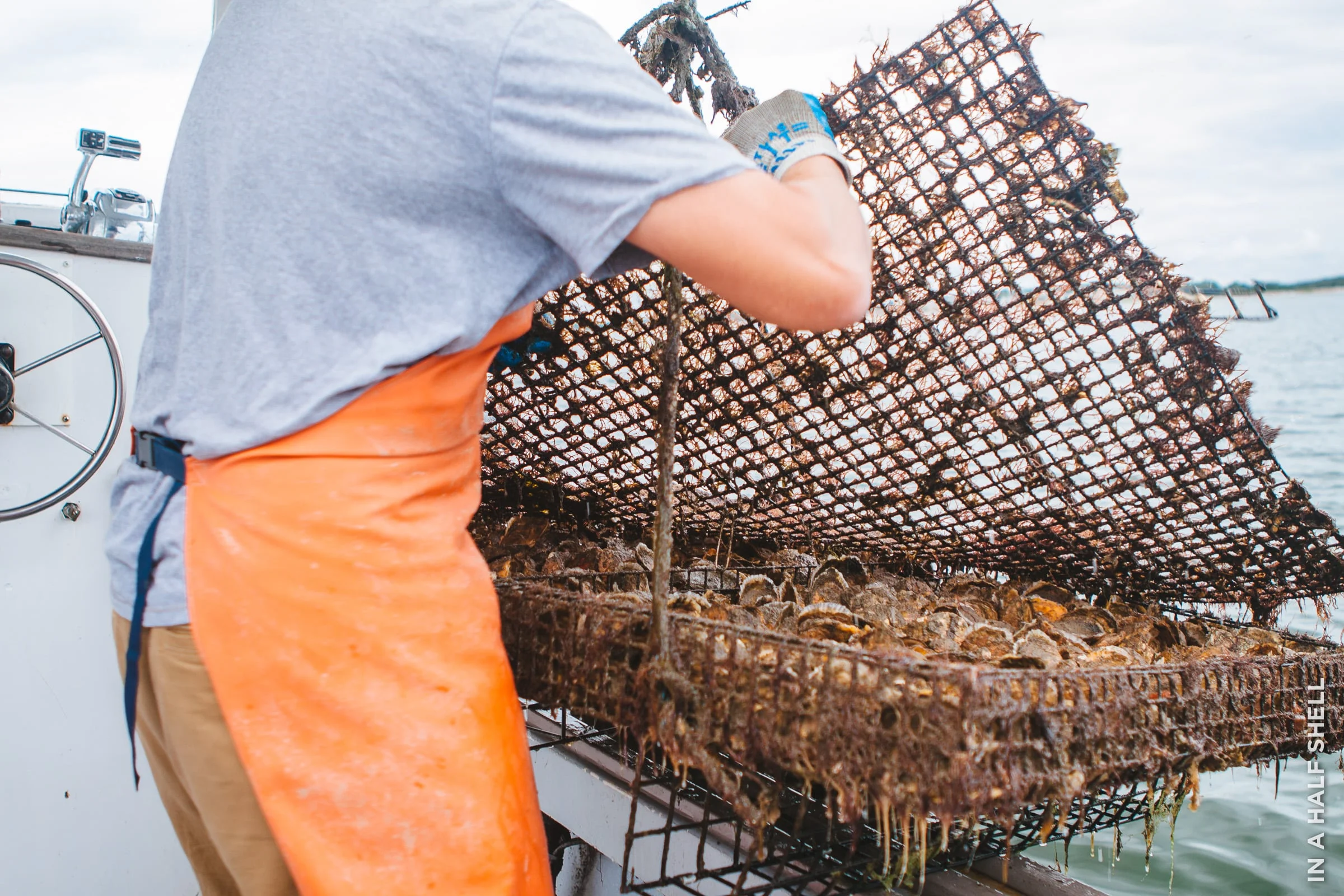 InAHalfShell-2014-MonksCoveOysterFarm-5.jpg