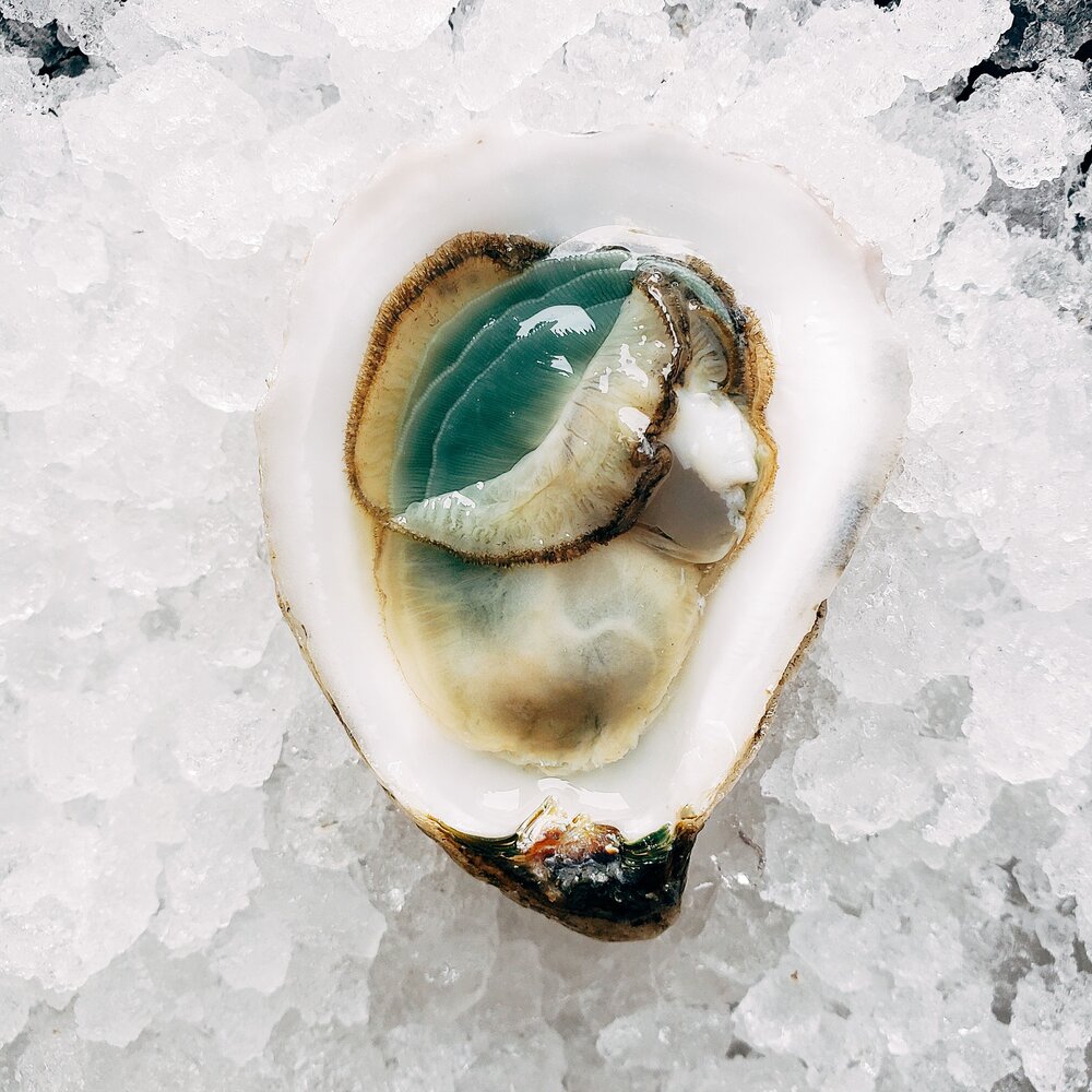10 Wonderful Benefits of Oysters 