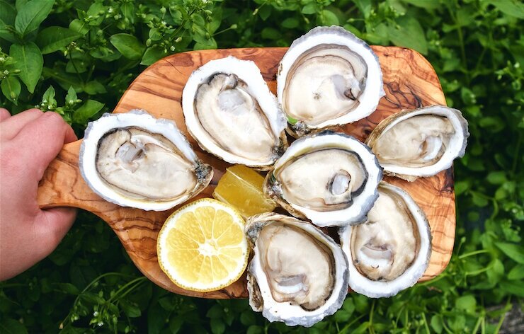 Where to Buy Oysters Online for Home Delivery or Local Pick-Up — In A Half  Shell
