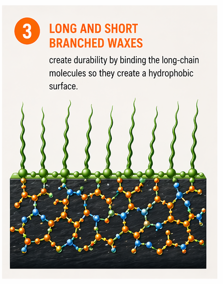 04_long_and_short_branched_waxes.png