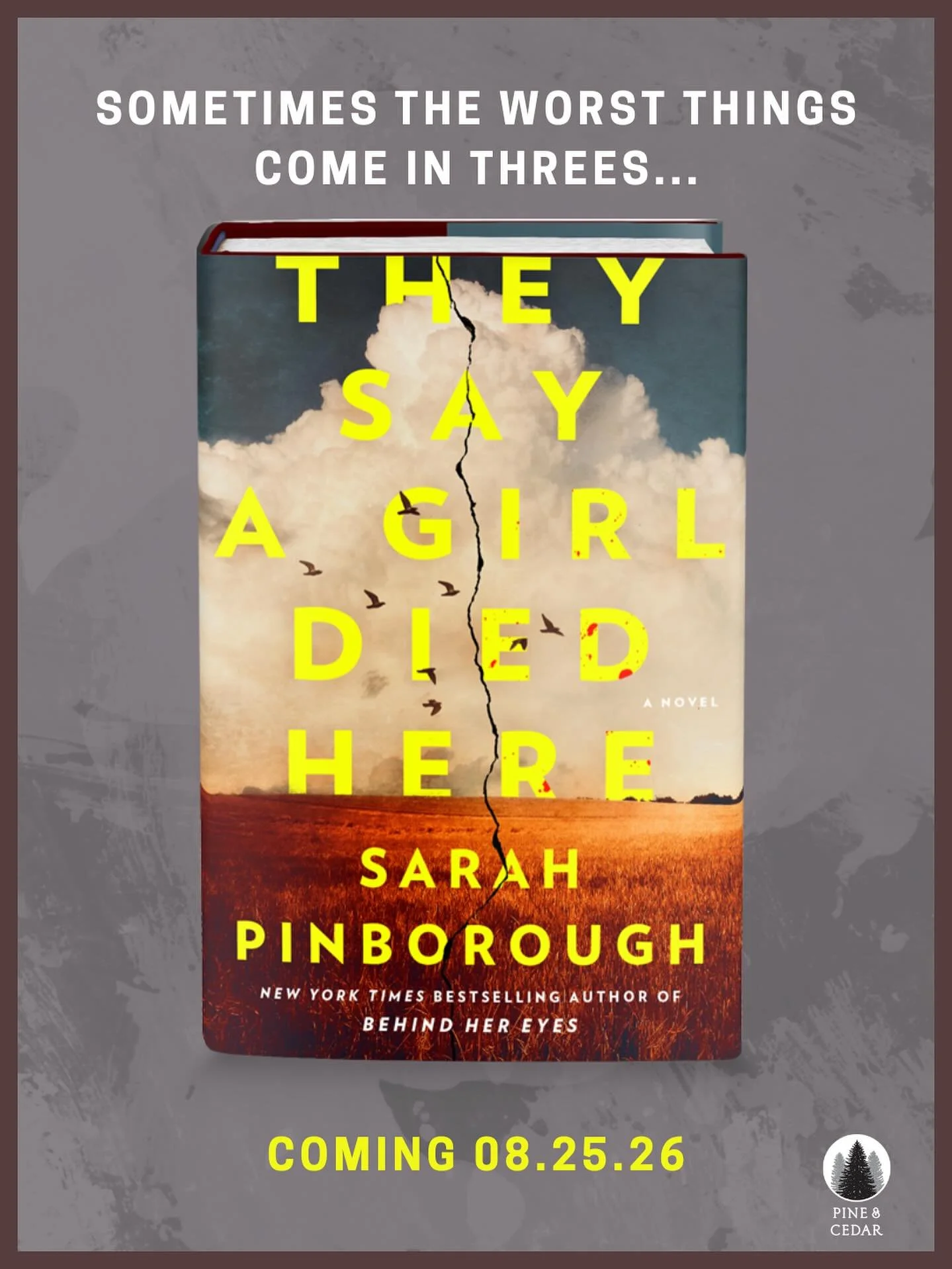 Sometimes the worst things come in threes...

THEY SAY A GIRL DIED HERE from NYT bestselling author (and queen of the #wtfthatending) @sarahpinboroughbooks comes a thrilling, genre-bending mystery about two murdered girls, a town with dark secrets, a