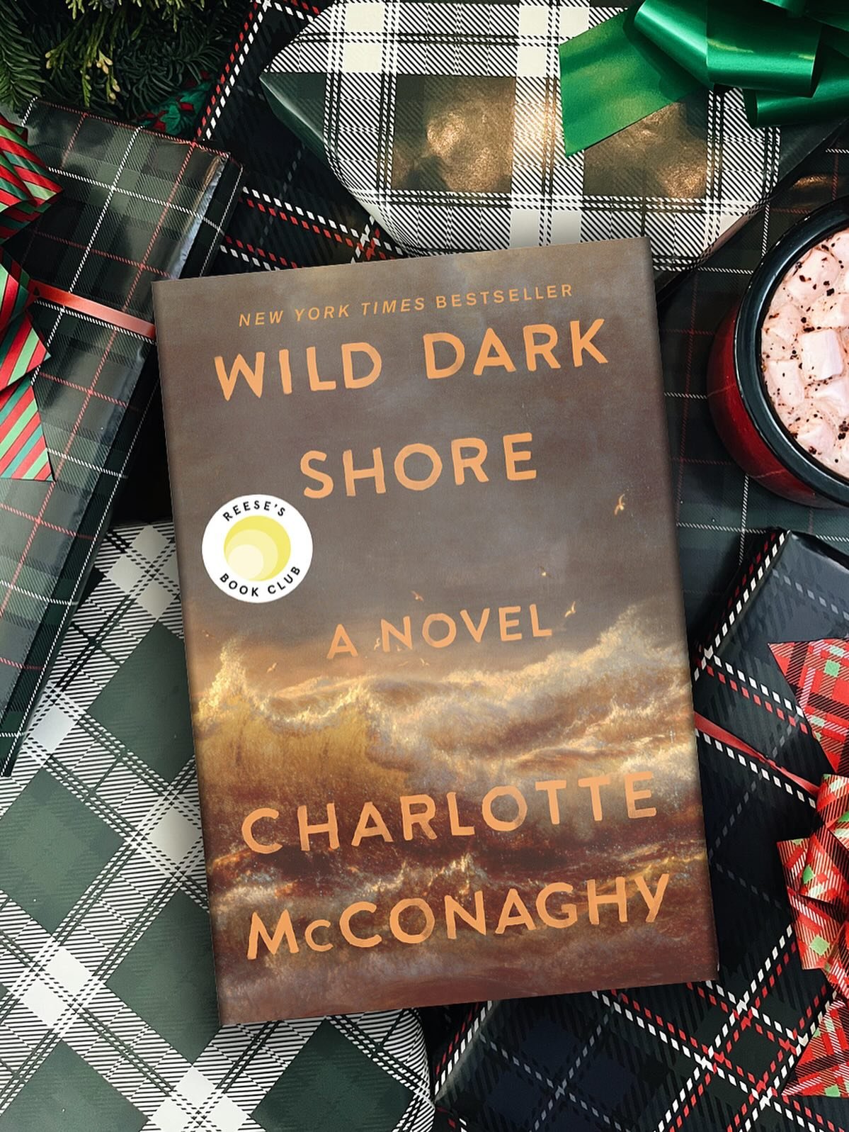 We&rsquo;re cozying up this winter with Wild Dark Shore by @charlottemcconaghy ❄️. 

This powerful, emotional novel about a family living on a remote island and the stranger who washes ashore was one of our favorites of 2025. 
Have you read it yet?🧣