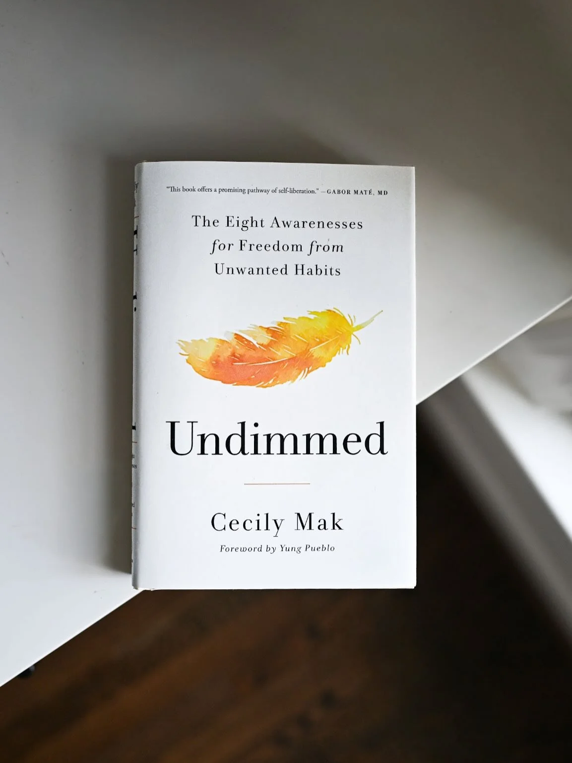 People are saying amazing things about Undimmed by Cecily Mak (@clearlifejourney)! 

If you want to let go of the habits that dim your life in 2026, Undimmed is the book for you ✨