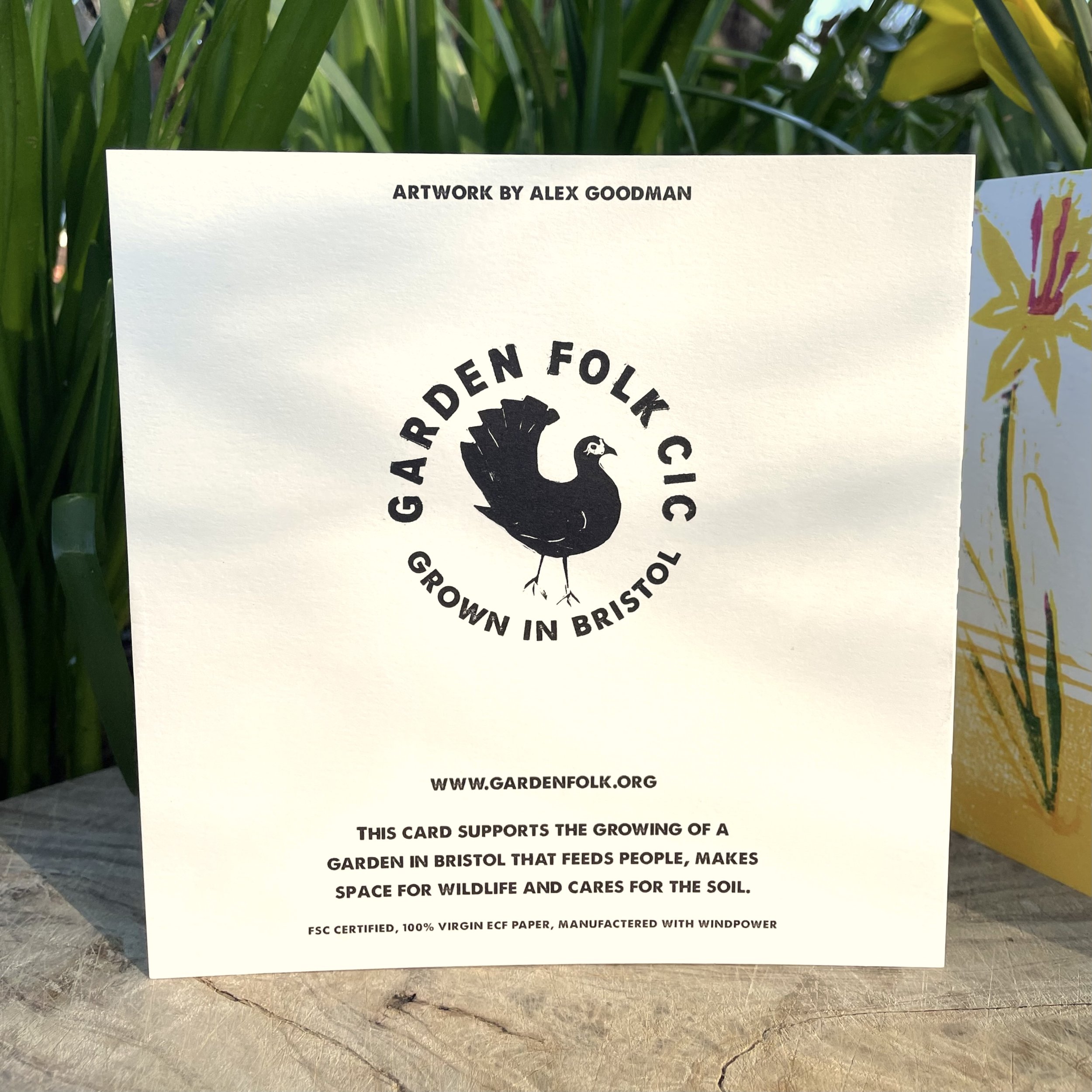 Linocut printed greetings card of a chicken and spring daffodils locally made in Bristol