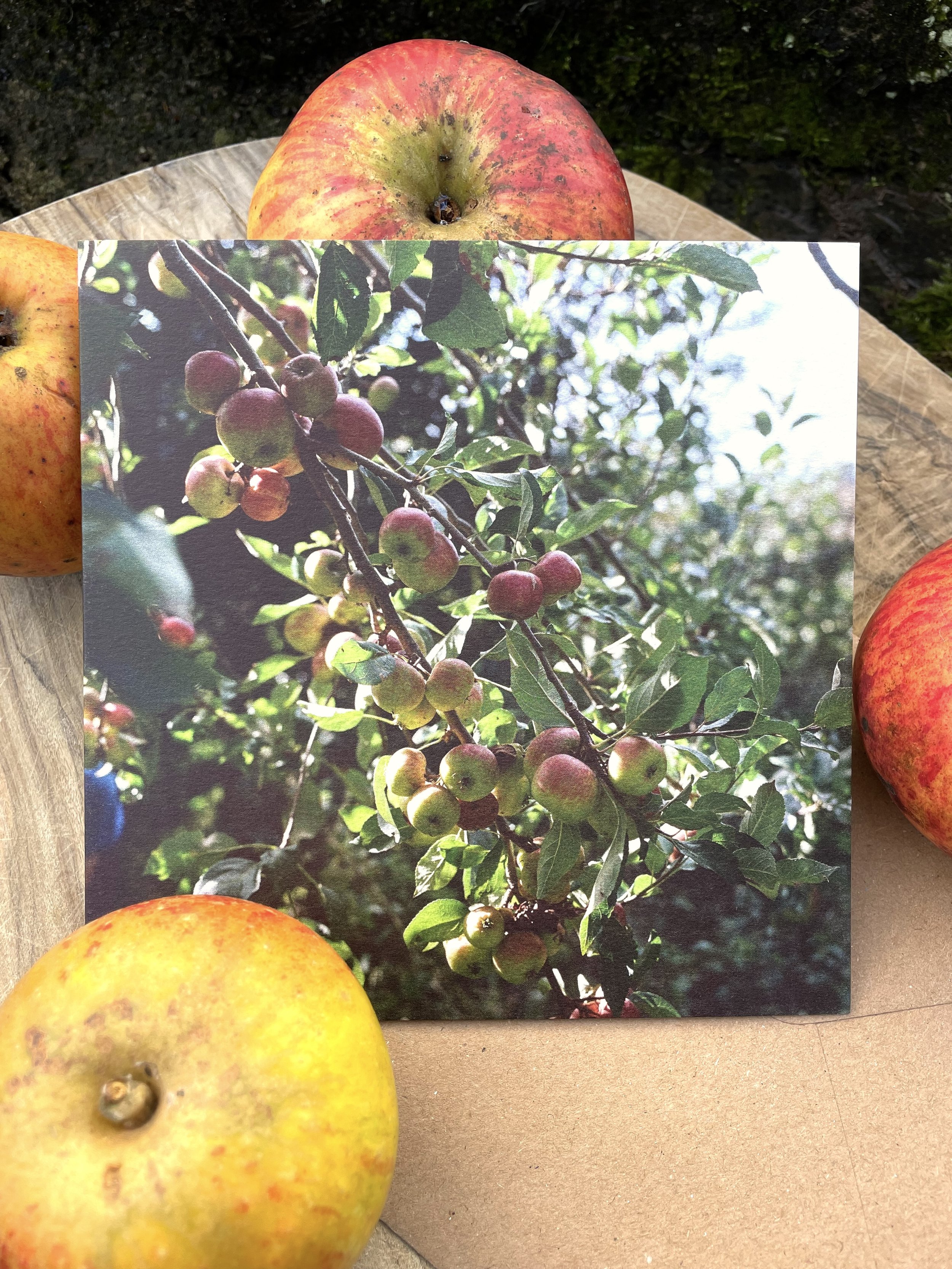 Garden Folk Card - Apples