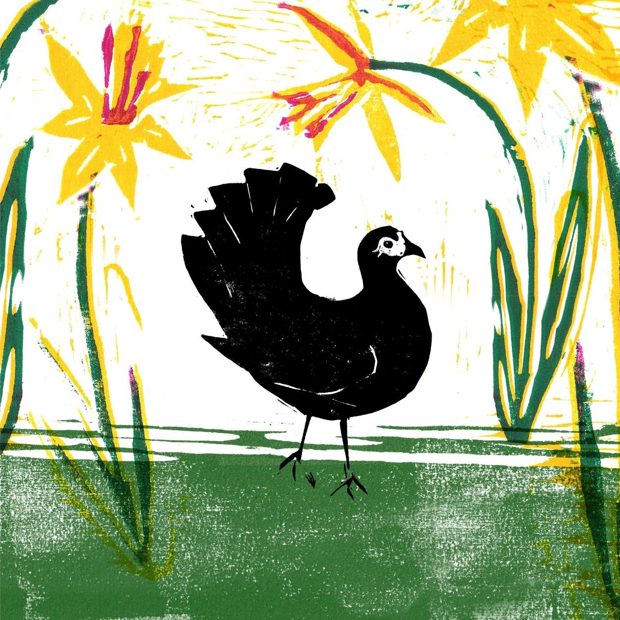 Linocut printed greetings card of a chicken and spring daffodils locally made in Bristol