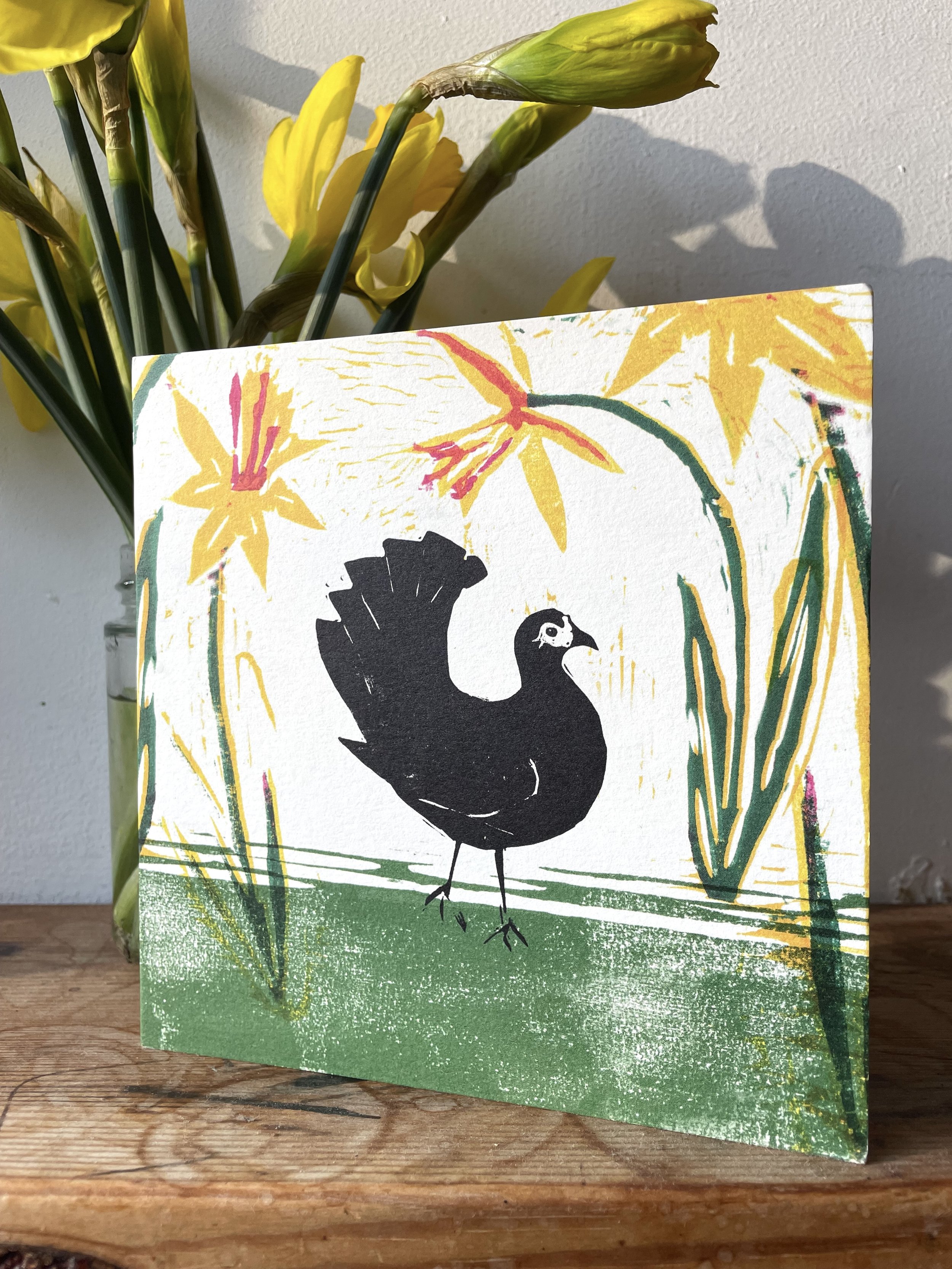 Linocut printed greetings card of a chicken and spring daffodils locally made in Bristol
