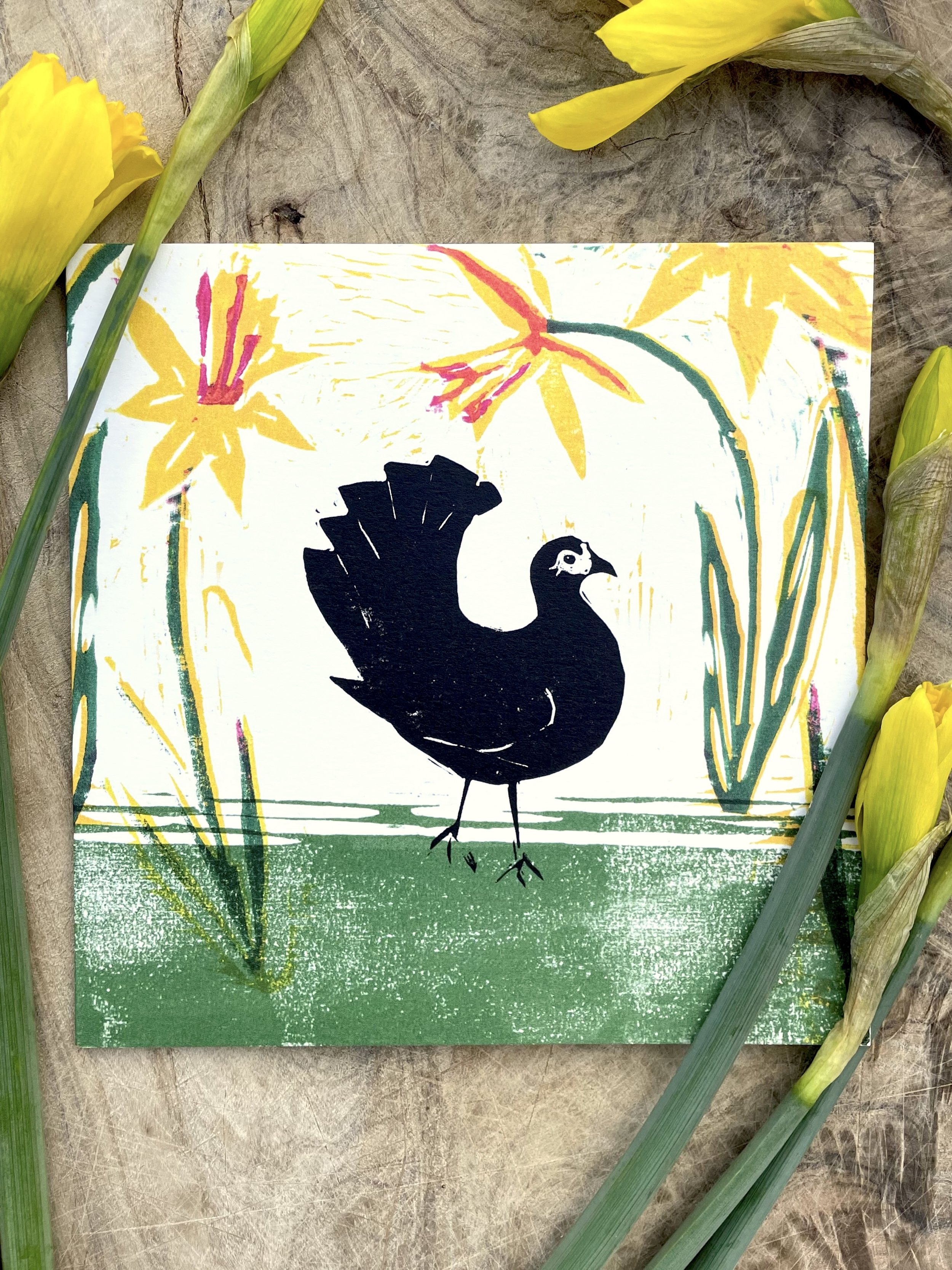 Linocut printed greetings card of a chicken and spring daffodils locally made in Bristol