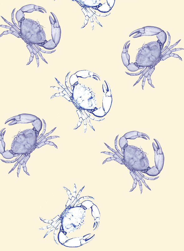BLUE-CRAB_ONLY-CRAB.gif