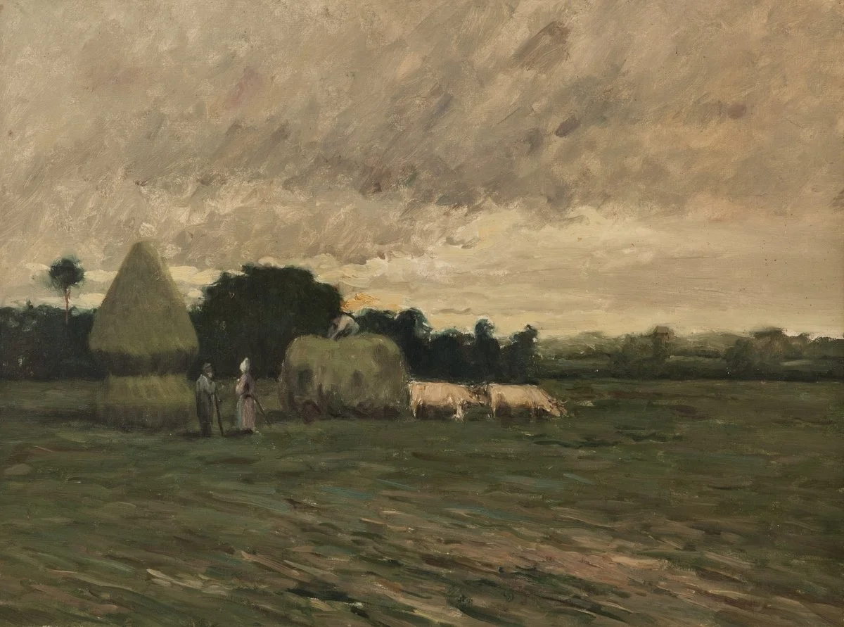 Blase, Harvest of Plugs , 2015