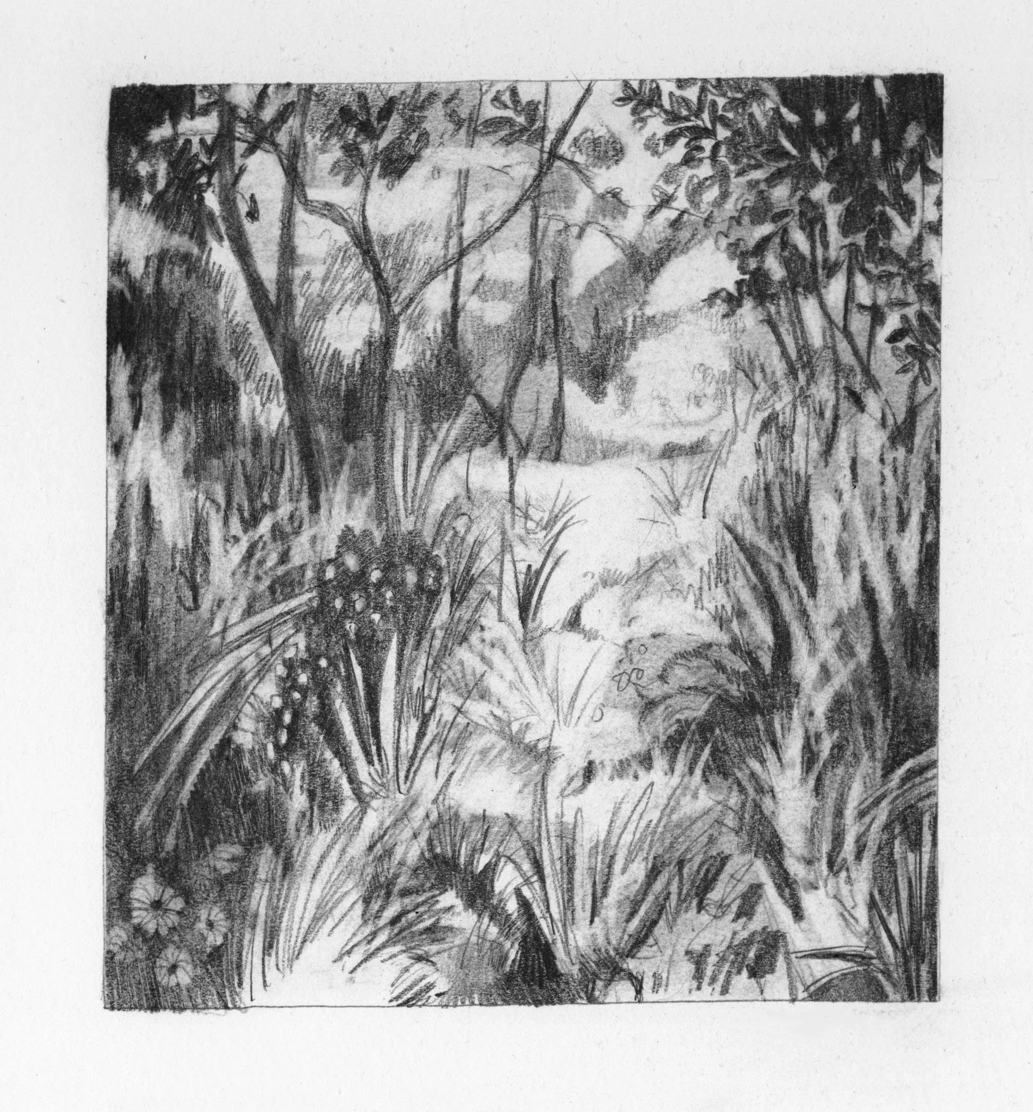 drawing4.jpg