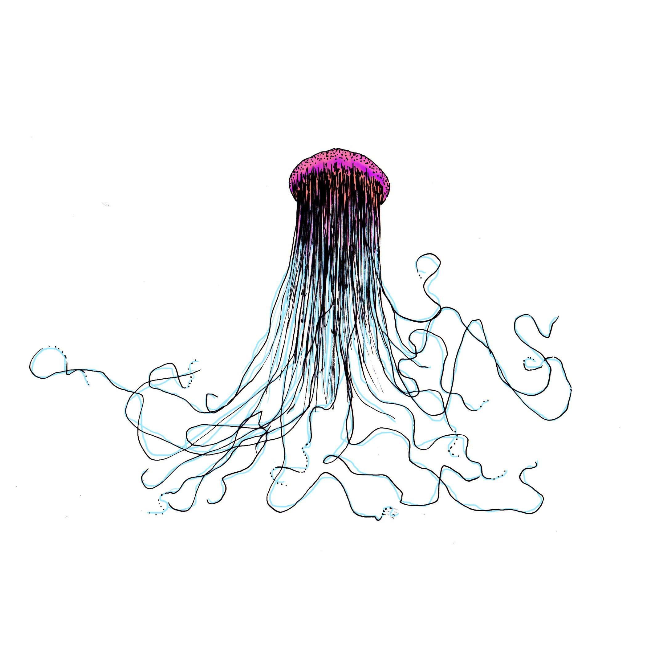 jellyfish(7x7).jpg