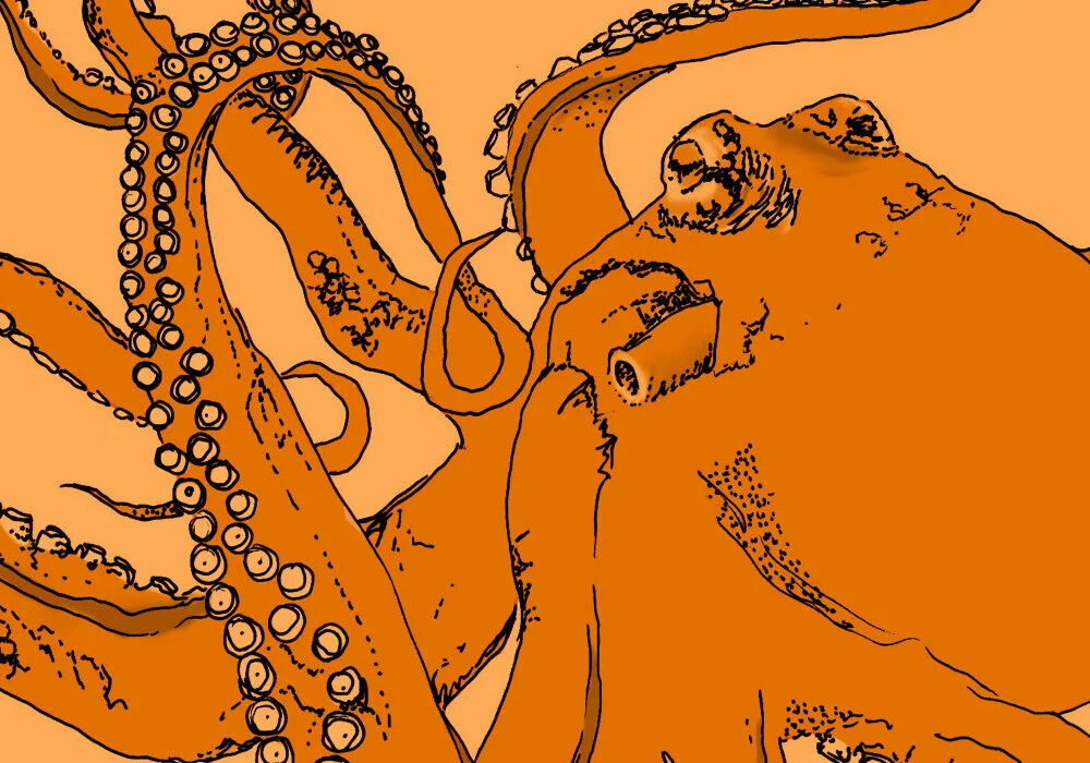 img-seacreatures-thumb.jpg