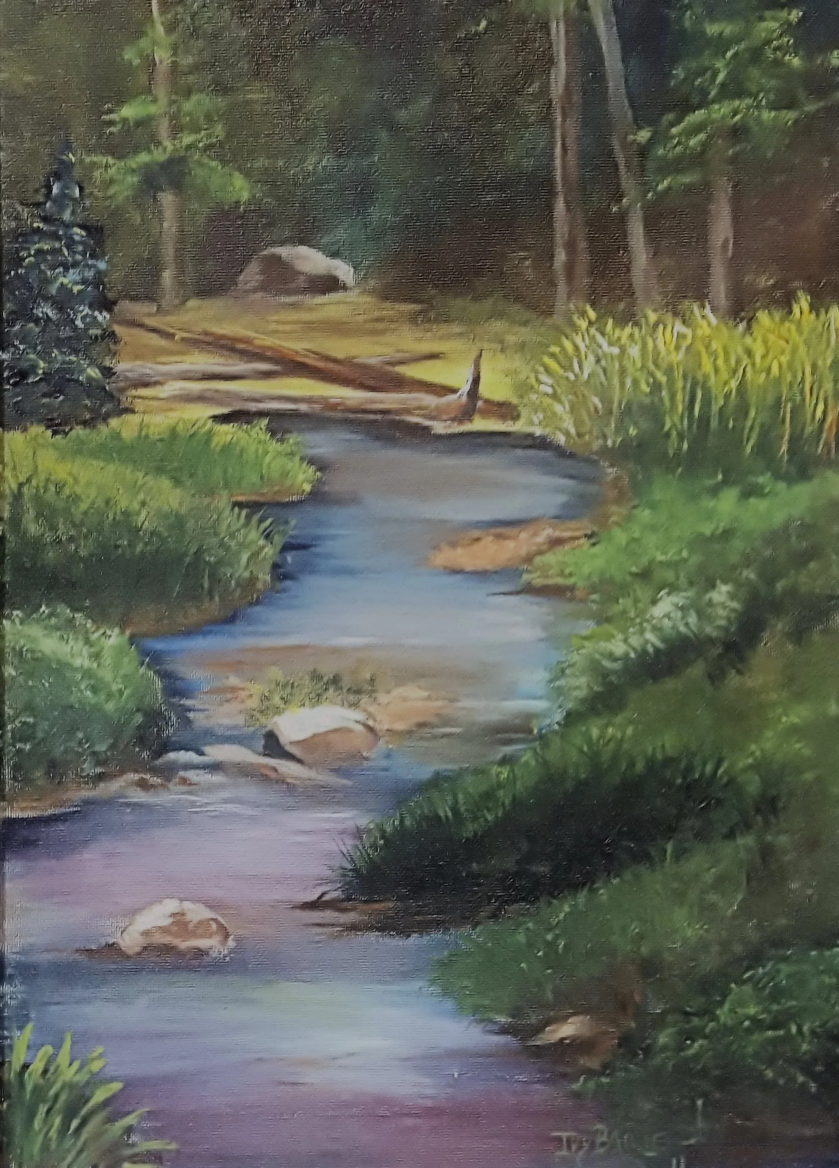 Creek in the Woods .jpg