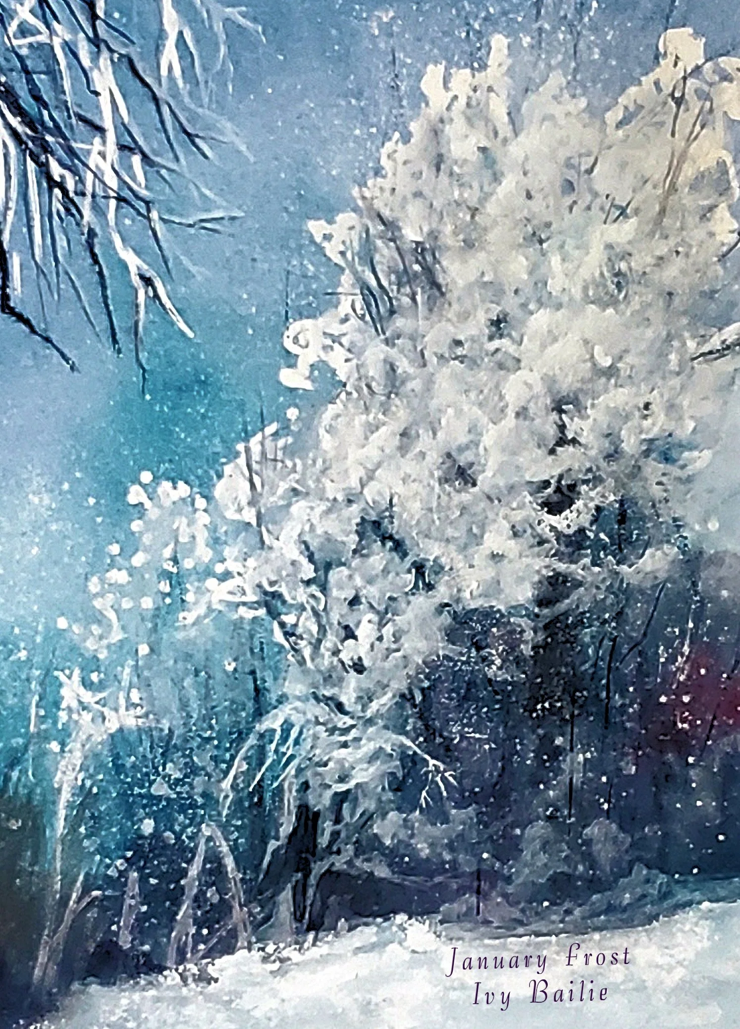 January Frost Card photos.jpg