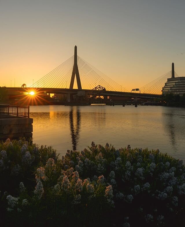 Couldn&rsquo;t sleep. So much to be worried for our country and world. So many things to process and voices to listen to...Found some peace and quiet downtown by the Zakim bridge for sunrise to reflect. .
.
.
.
#boston #mass #igmass #igboston #sunris