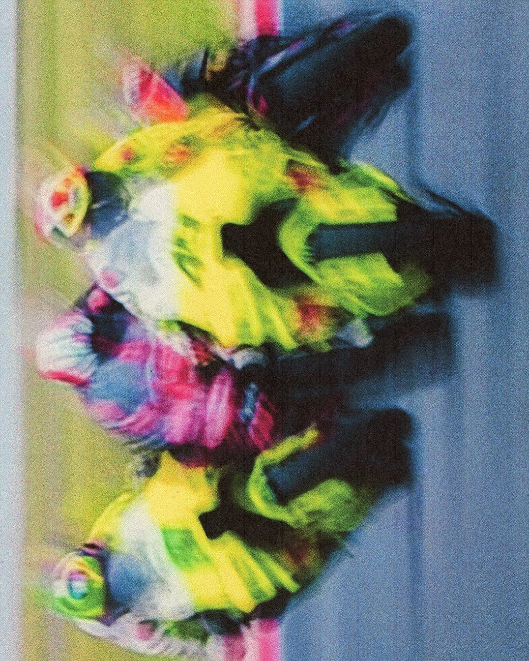 AINTFUSSED_TOGETHER_ASSOCIATES_MOTOGP_18.jpg