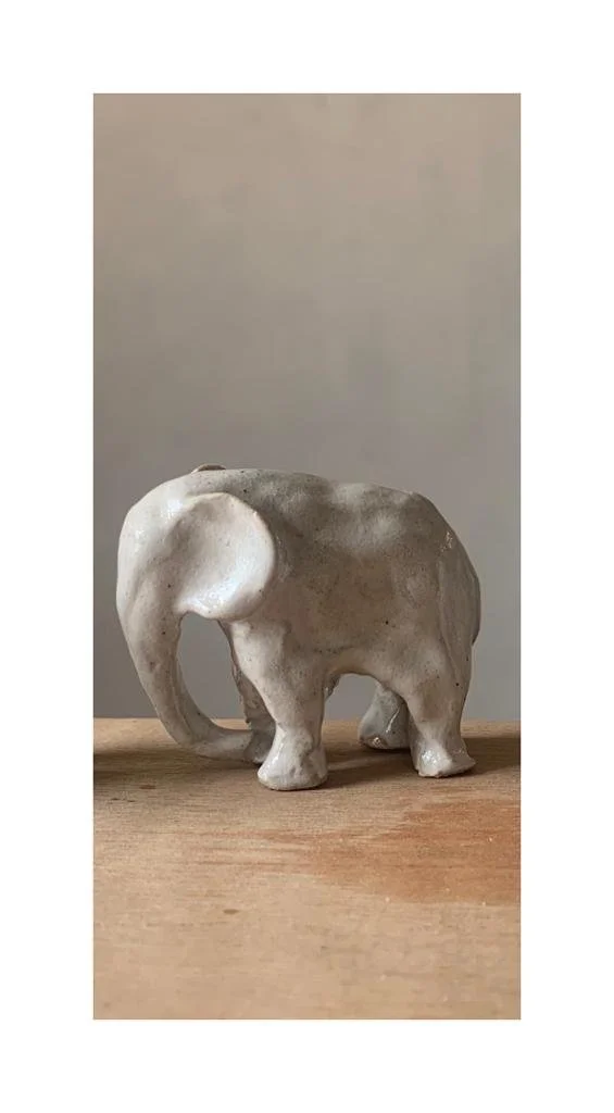 WhatsApp Image 2023-09-27 at 11.37.46 AM.jpeg