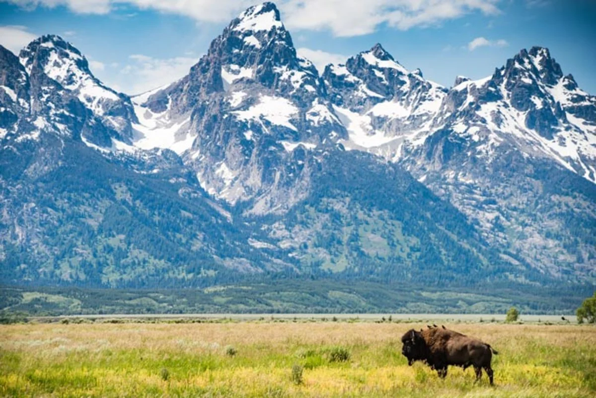 tetons.jpg