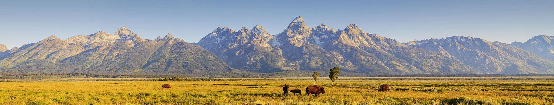 tetons-pano.jpg