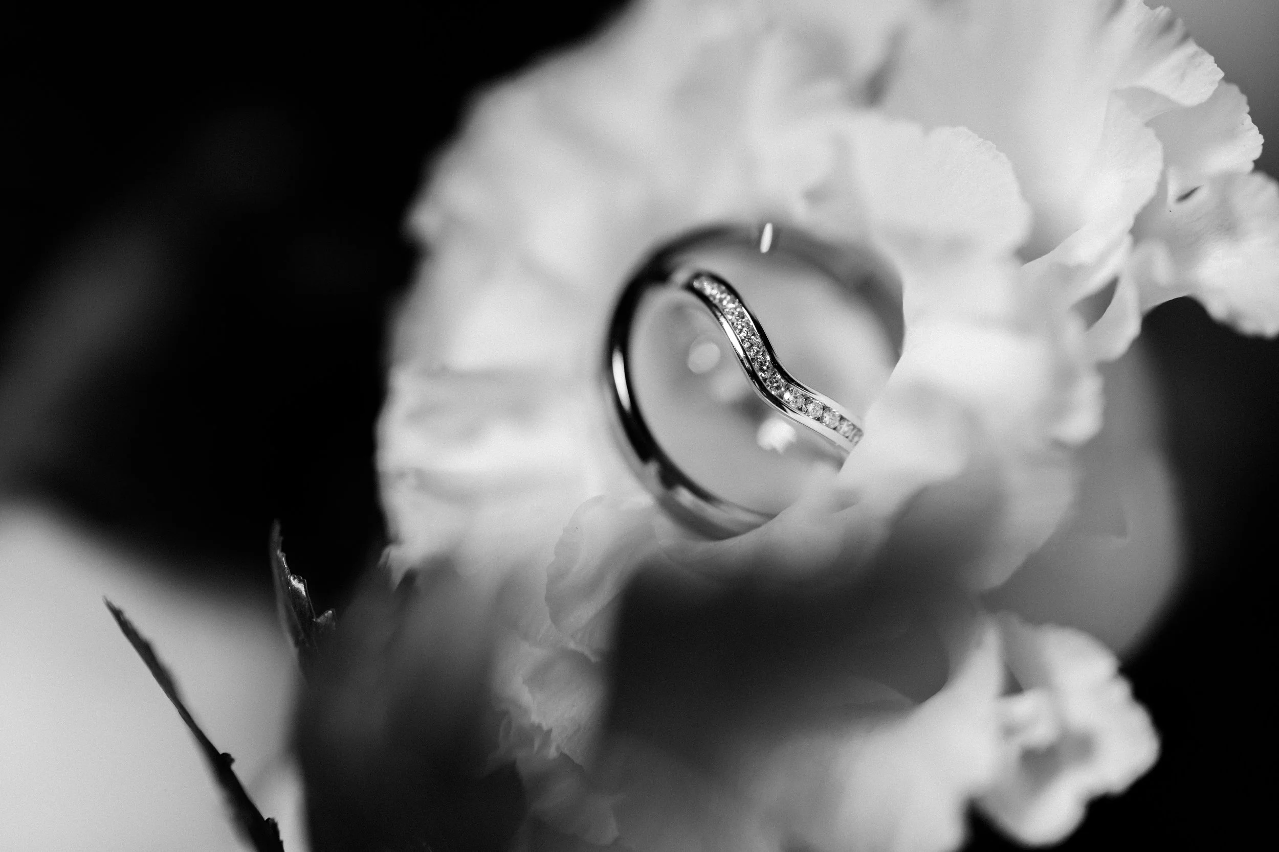 MPHARMONY_20231124 - Fiona & Eamon - IRL-62300-2.jpg