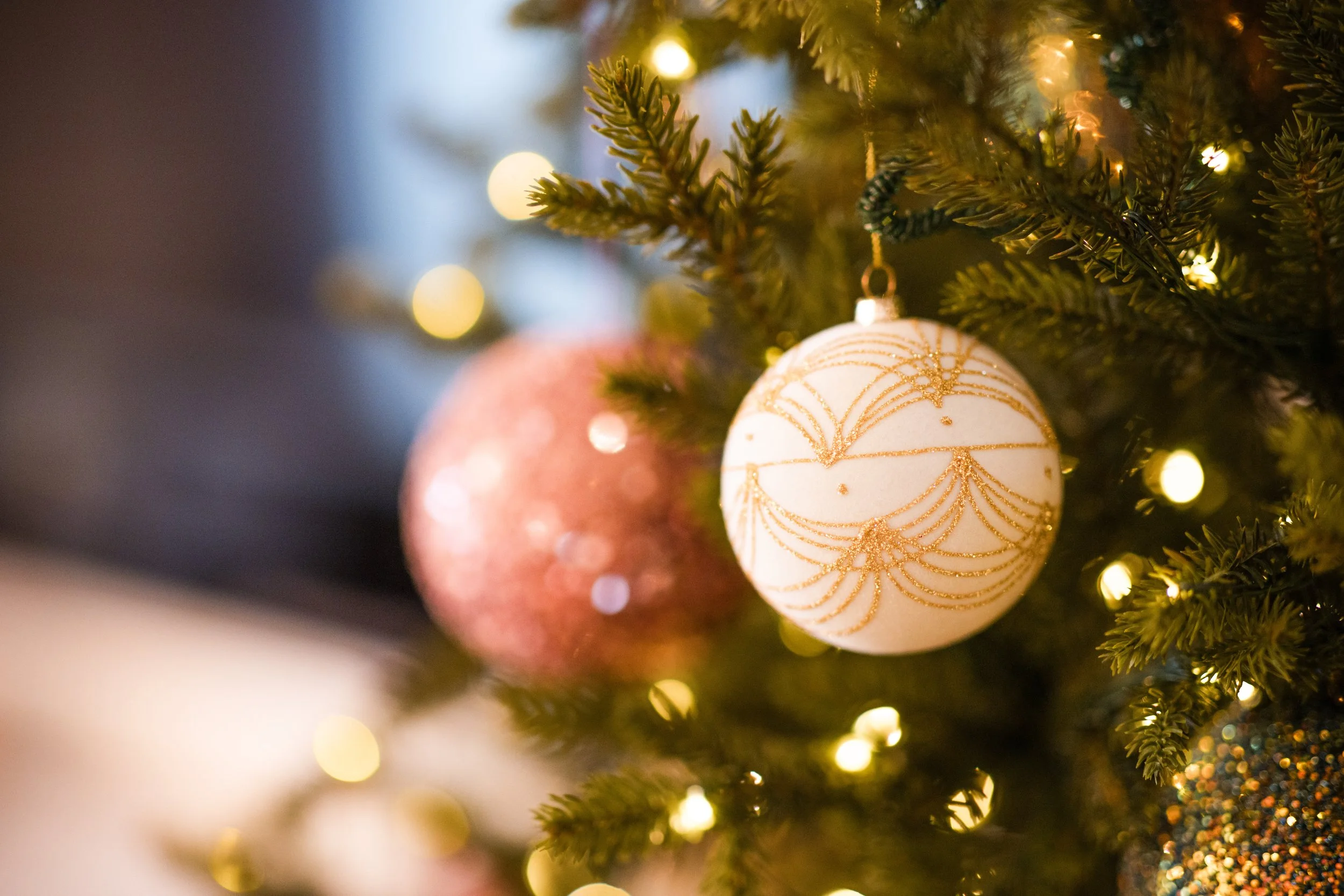 MPHARMONY_20231124 - Fiona & Eamon - IRL-62282.jpg