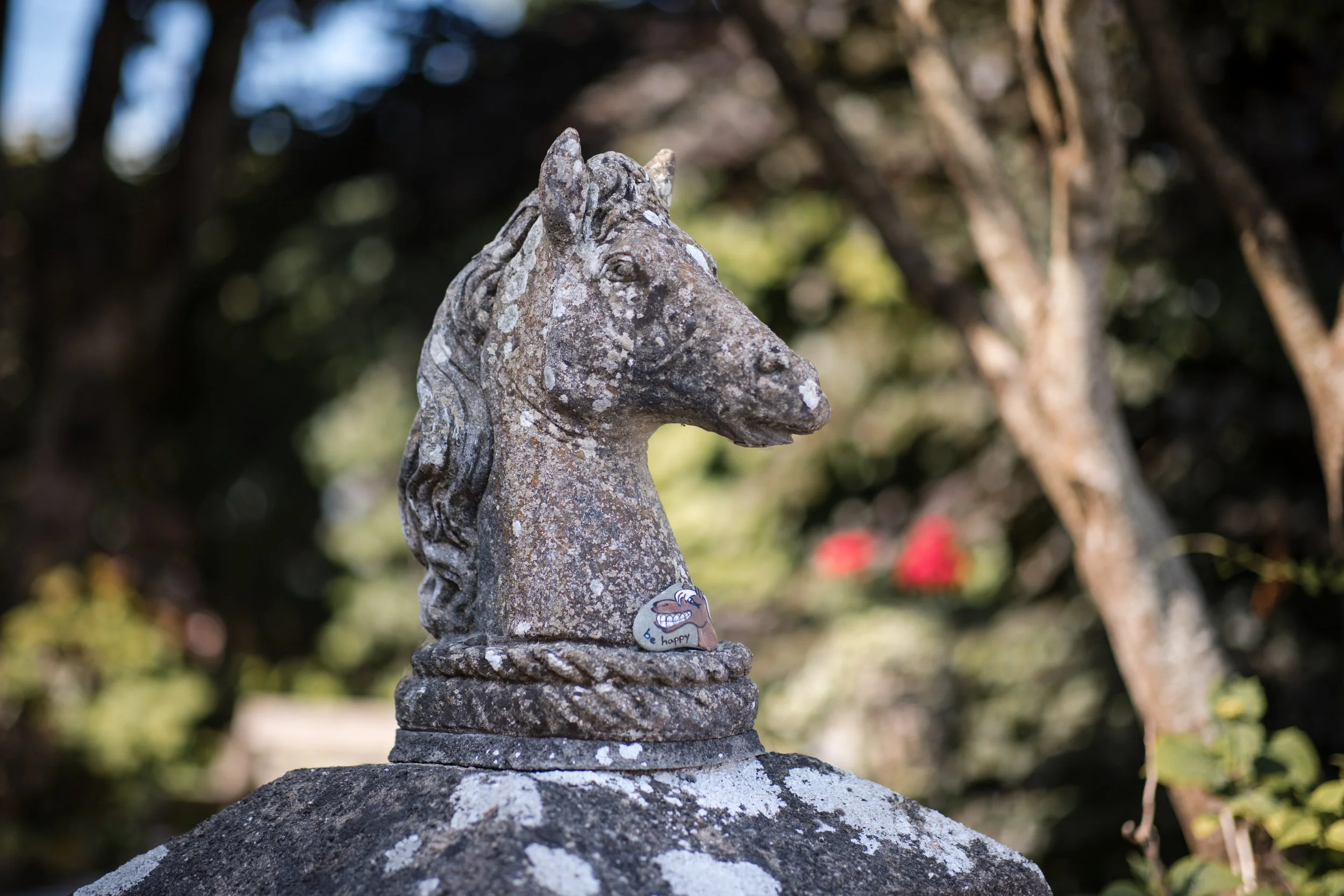 MPHARMONY_20230603 - Rob & Robert - IRL-27592.jpg