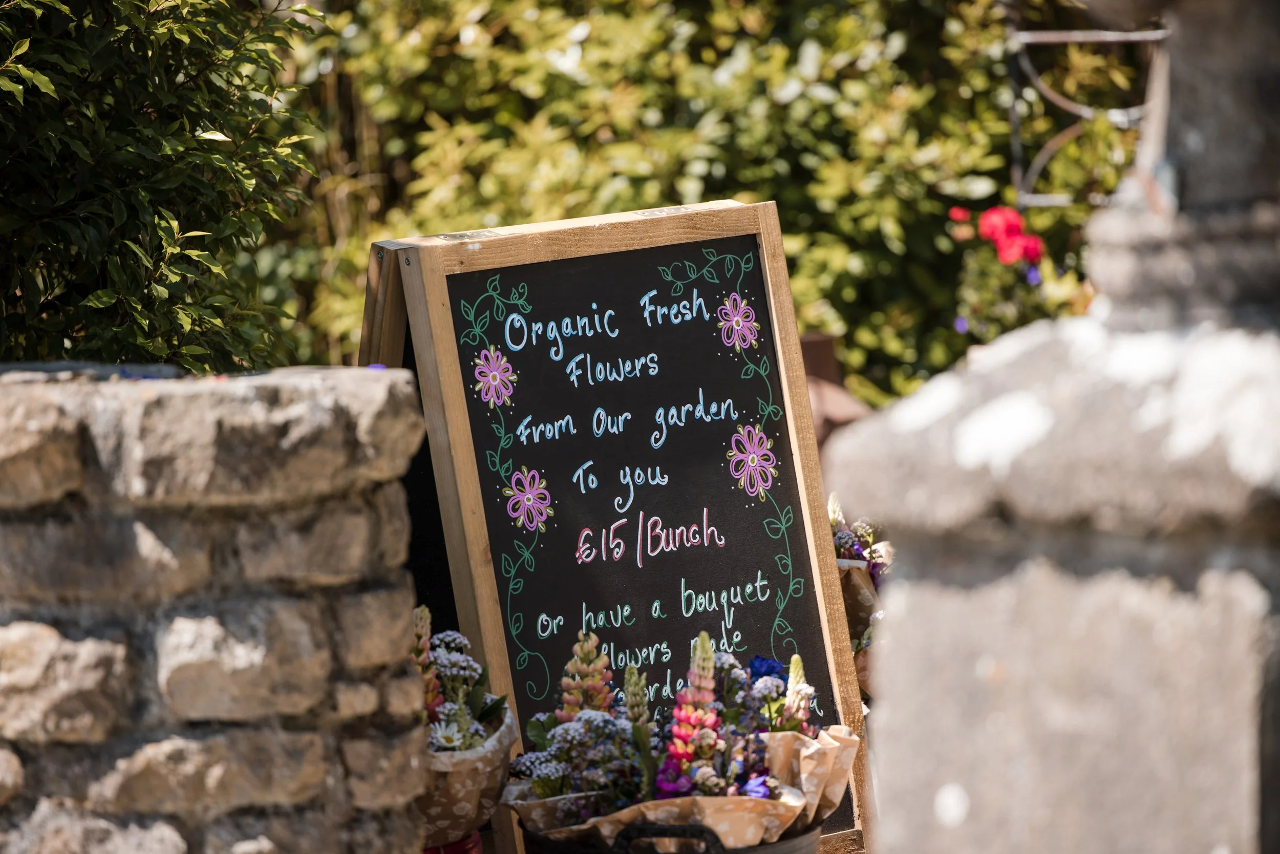 MPHARMONY_20230603 - Rob & Robert - IRL-25784.jpg