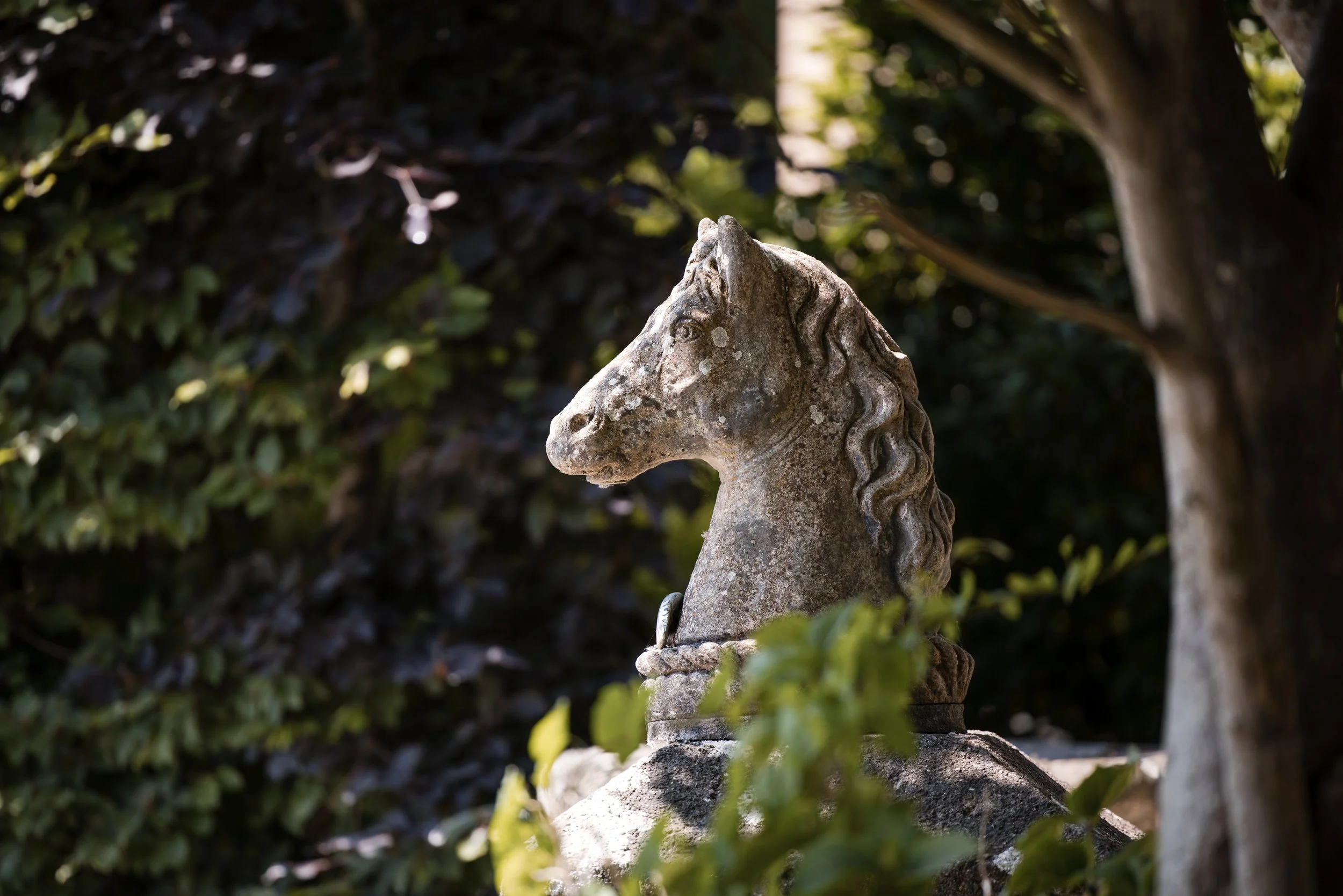 MPHARMONY_20230603 - Rob & Robert - IRL-25787.jpg