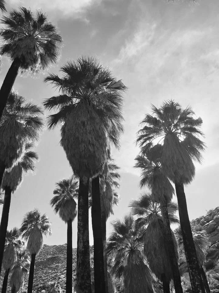 Playlist: Desert Daydream