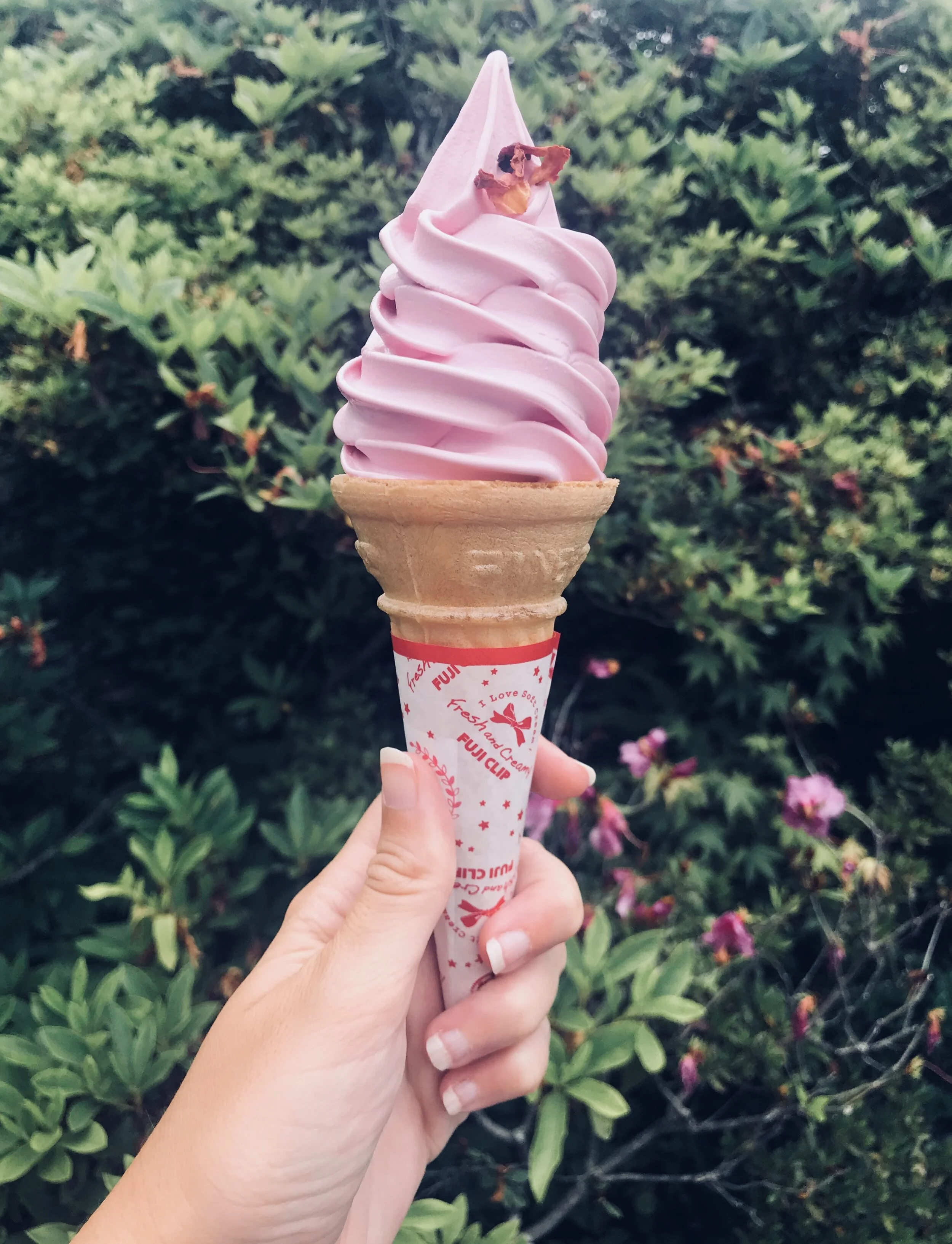 Fave part of Gora, rosebud soft serve.