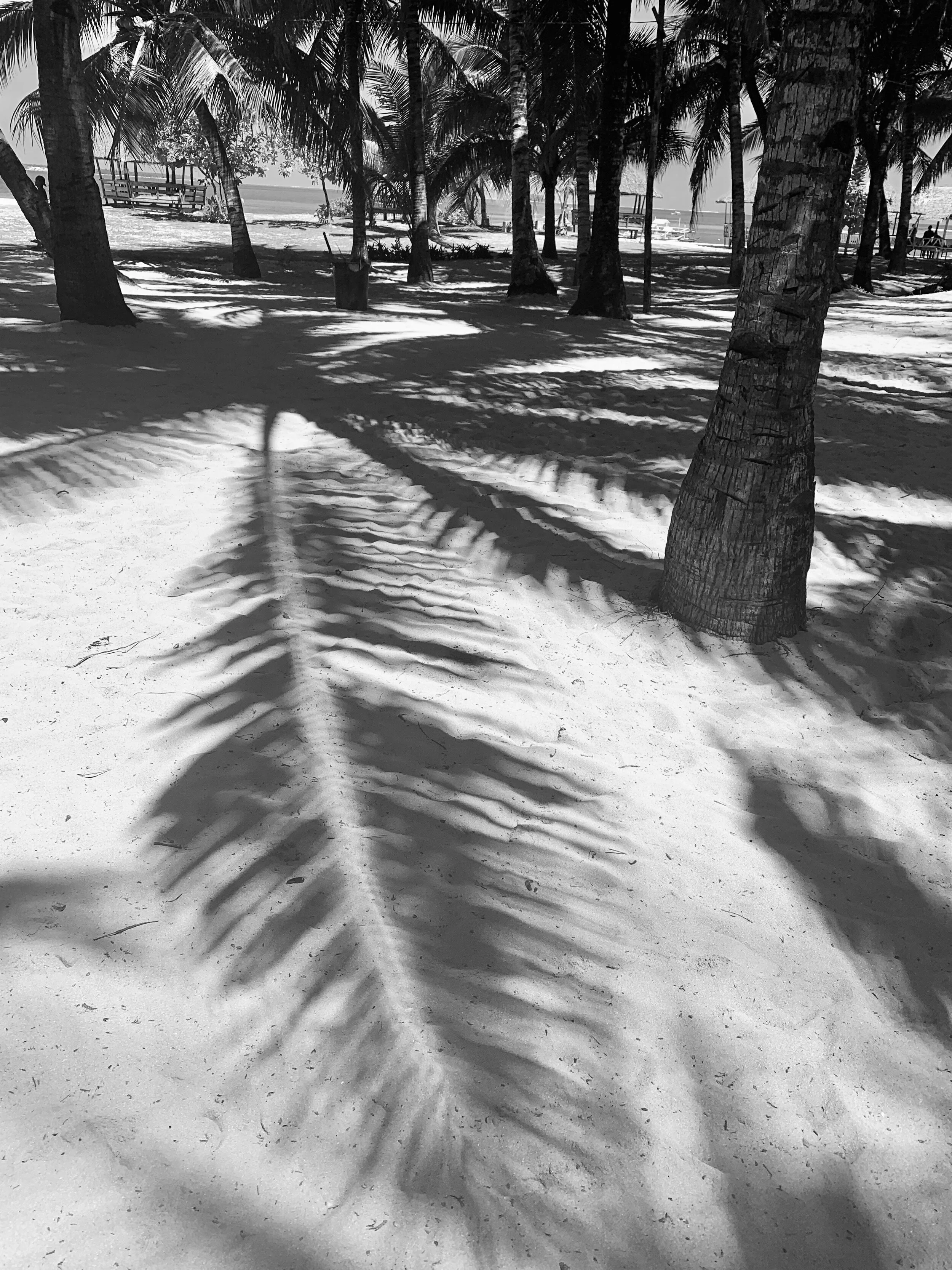 Playlist: Poolside / Philippines '19