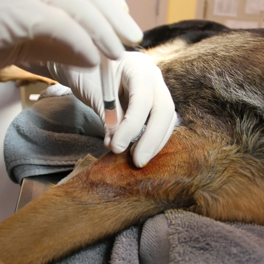 PRP+elbow+injection_edited.jpg