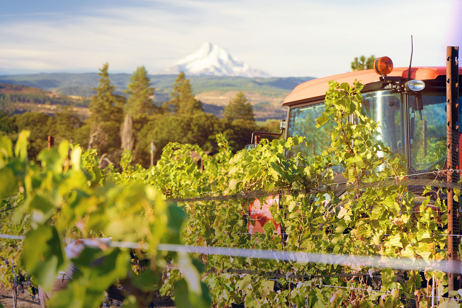 tractor-about-gorge-wine_Feb2019.jpg