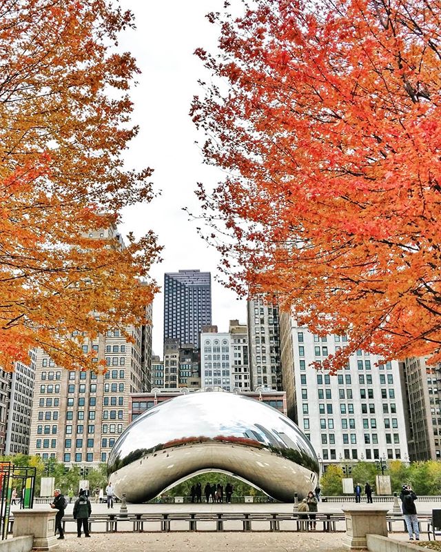 The Bean dressed for Fall 🍂