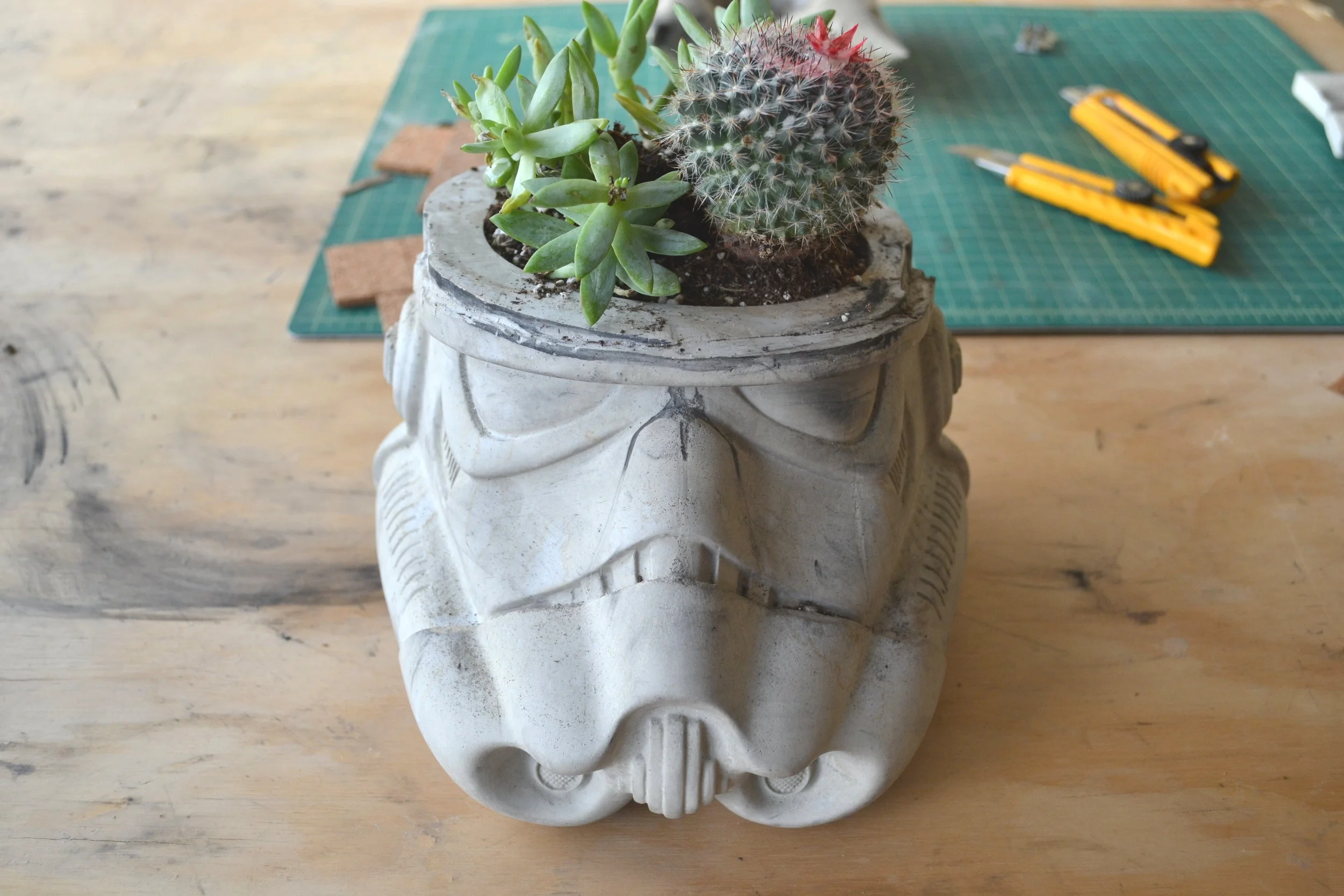 POT HEAD.