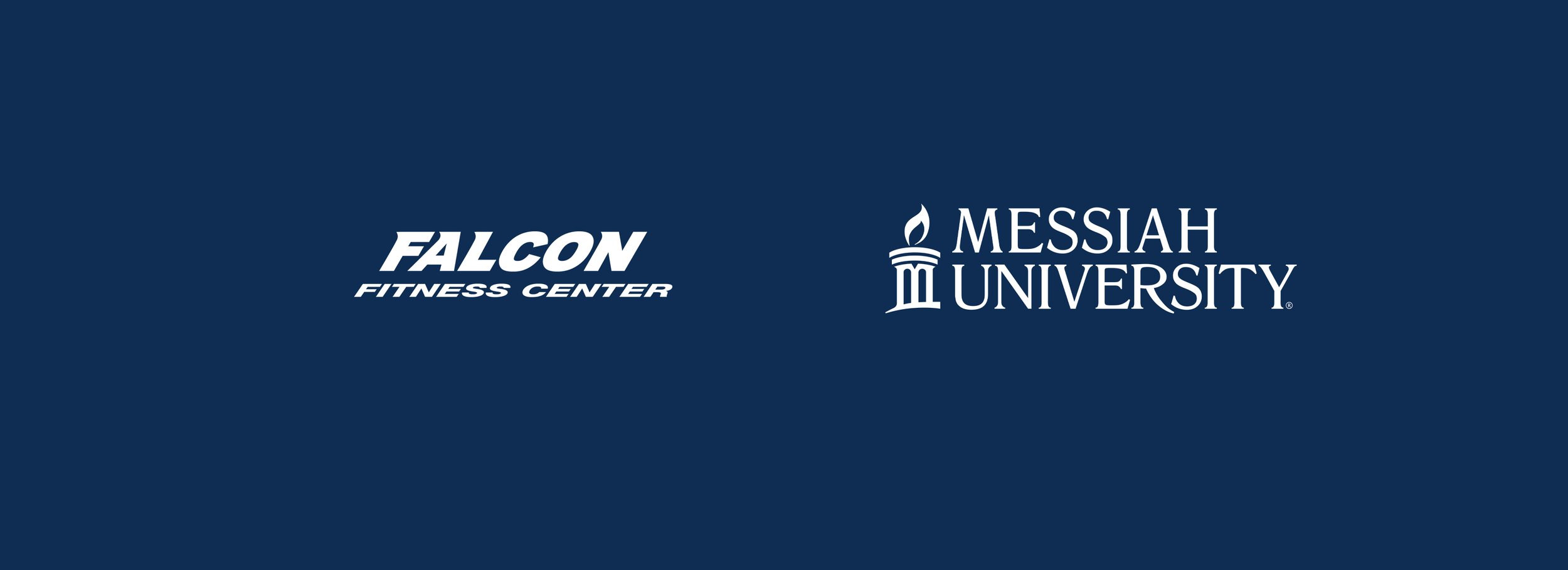 website banner falcon.jpg