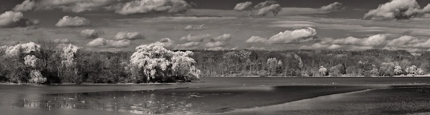 A VIEW OF PRINCESS POINT