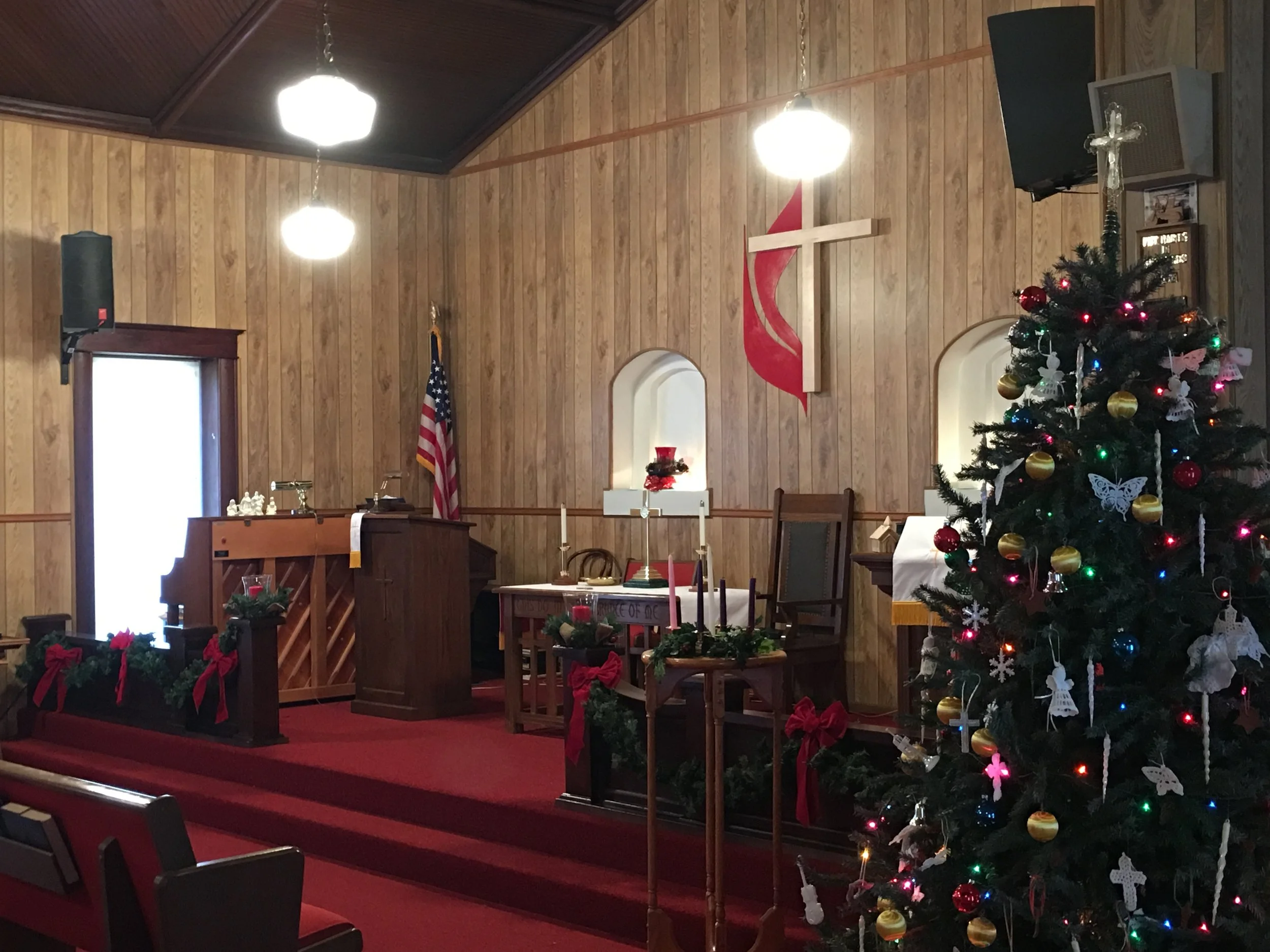 angle tree and front.JPG