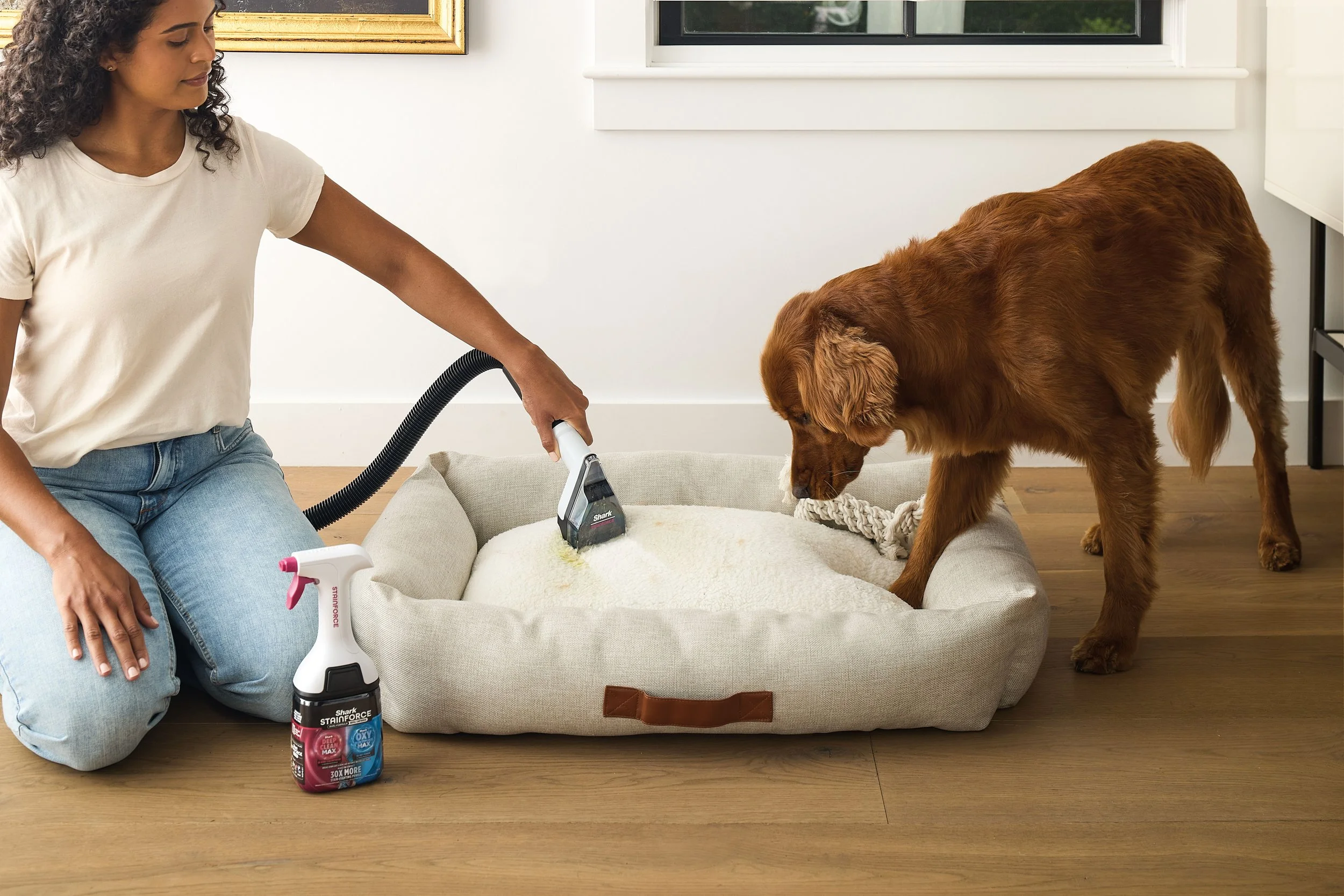 JPG-R_VX100_InUse_Cleaning_LivingRoom_PetBed_StainTool_3.5In_Woman_Dog.jpg