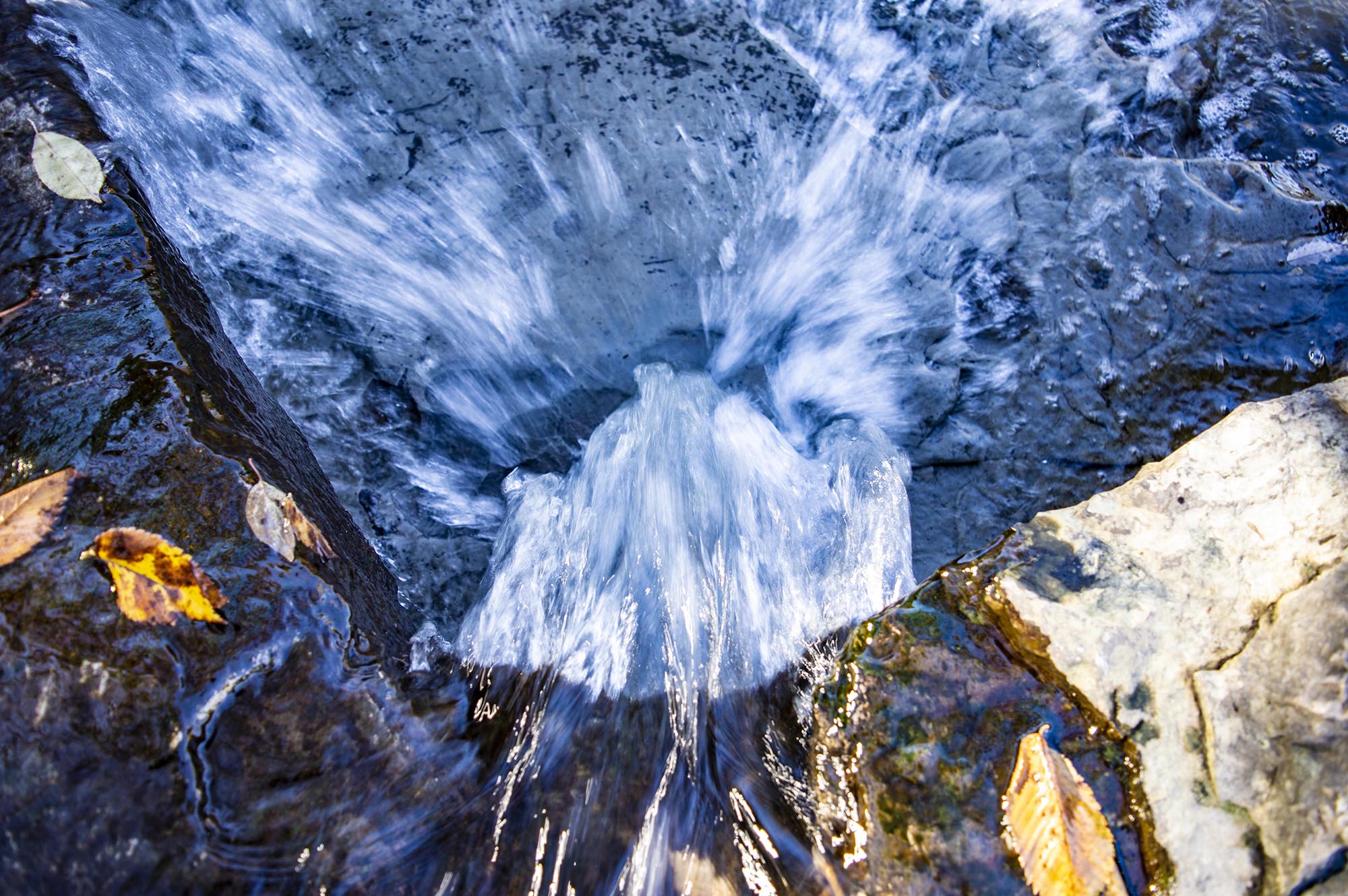DSC_0173.jpg
